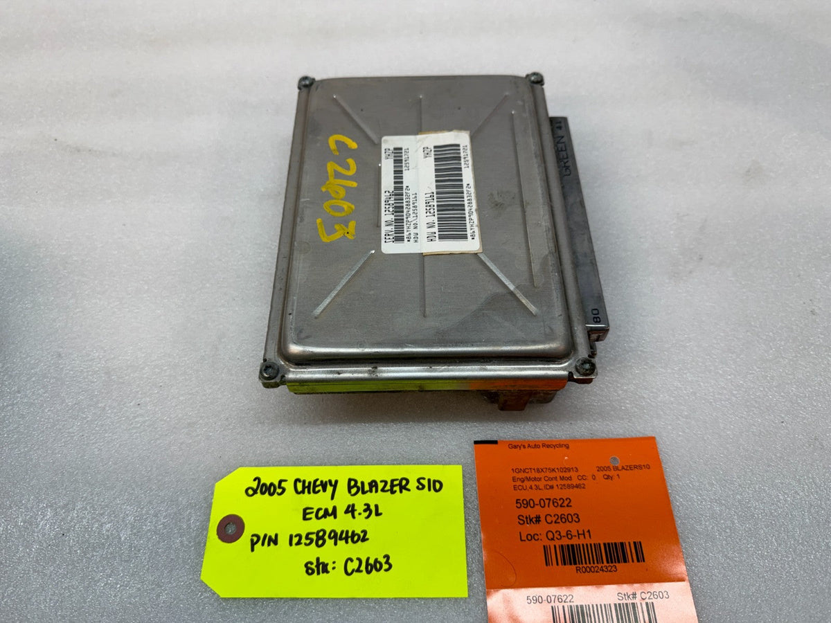05 CHEVROLET BLAZER ASTRO SAFARI ENGINE COMPUTER ECM ECU 4.3 V6 12589462