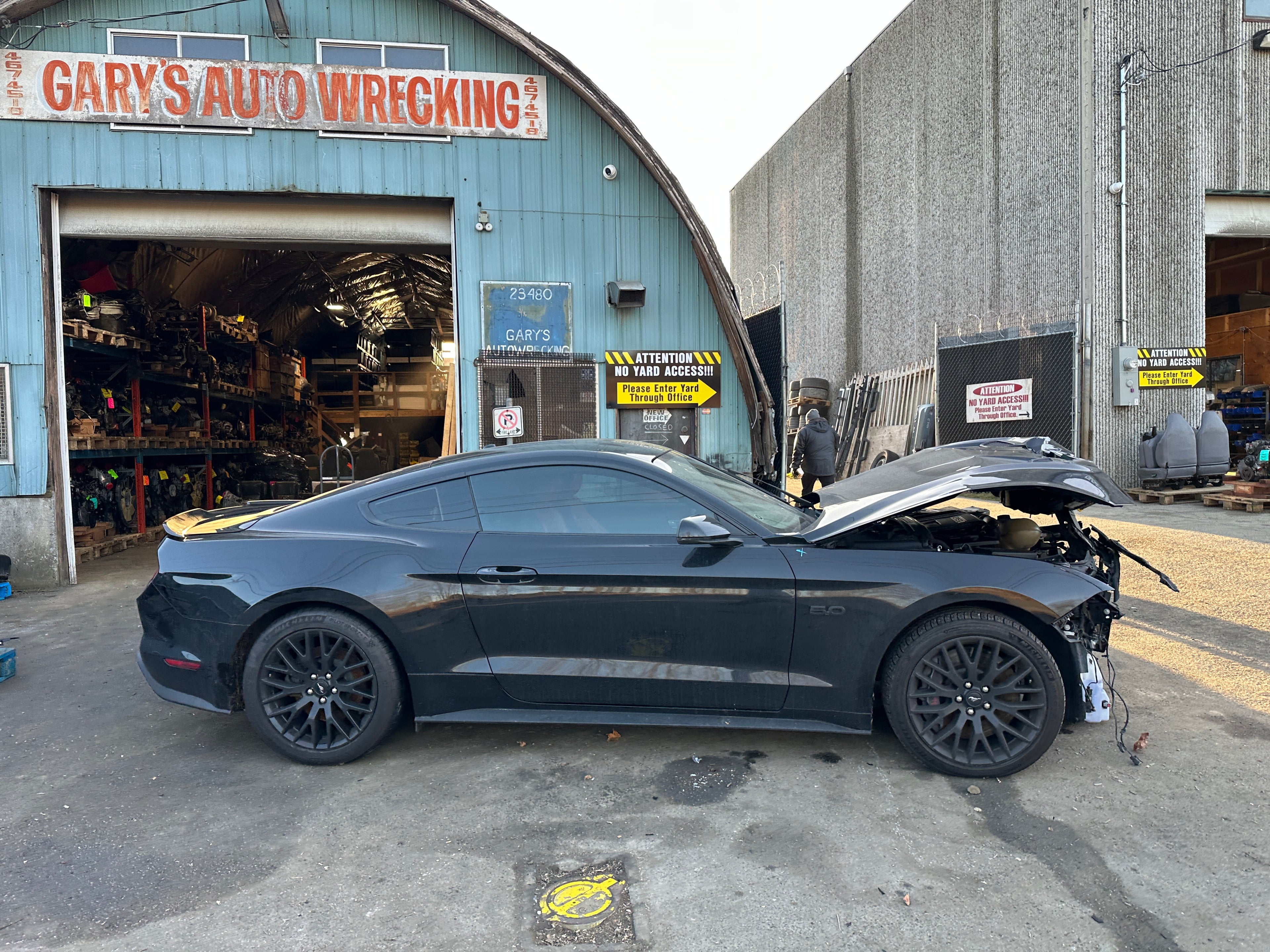 2020 Ford Mustang GT 5.0 – F2502