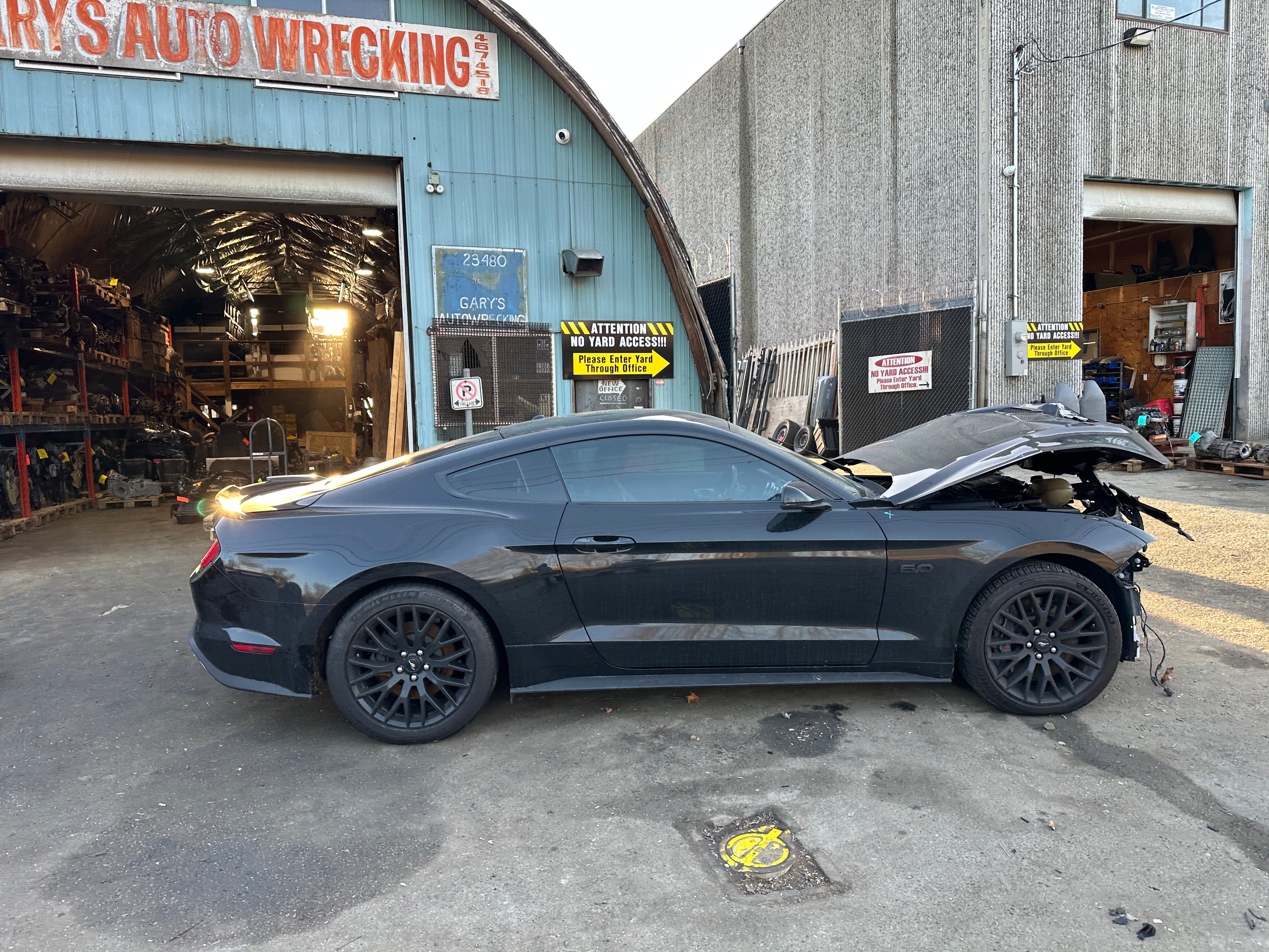 2020 Ford Mustang GT 5.0 – F2502