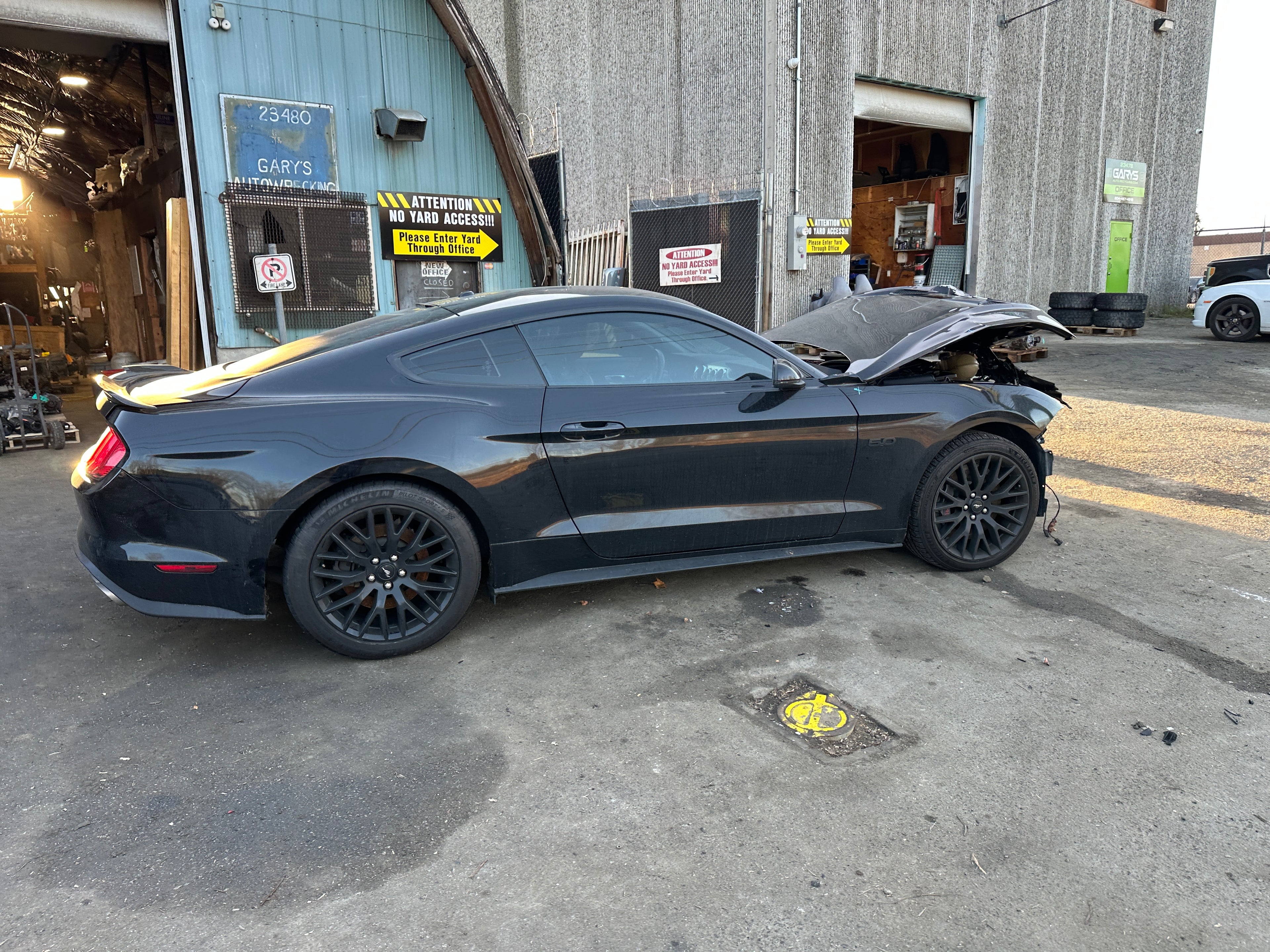 2020 Ford Mustang GT 5.0 – F2502