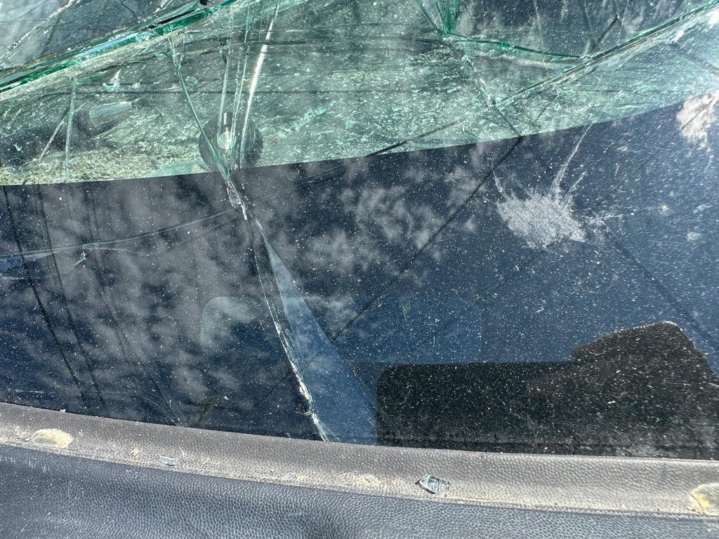 2010 Ford F-150 Raptor – F2505