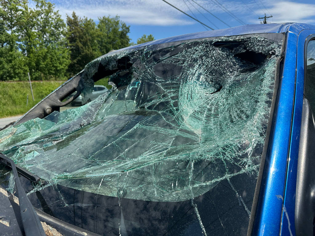 2010 Ford F-150 Raptor – F2505