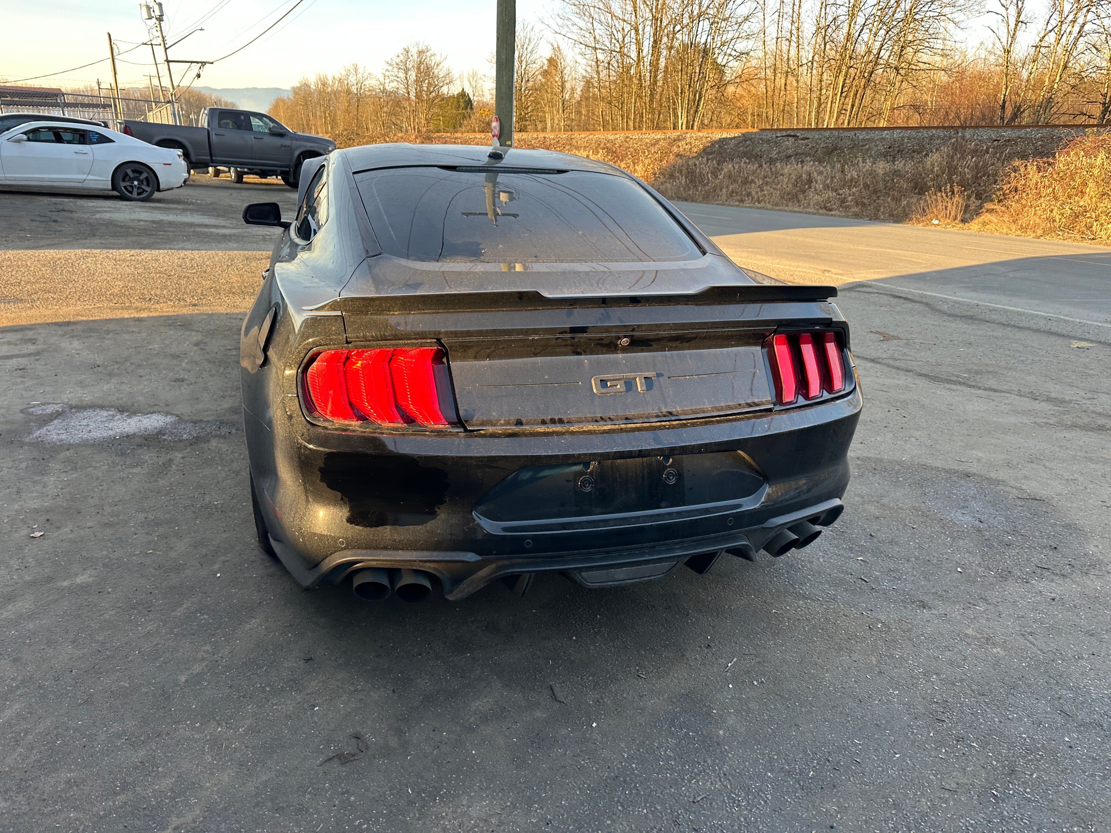 2020 Ford Mustang GT 5.0 – F2502