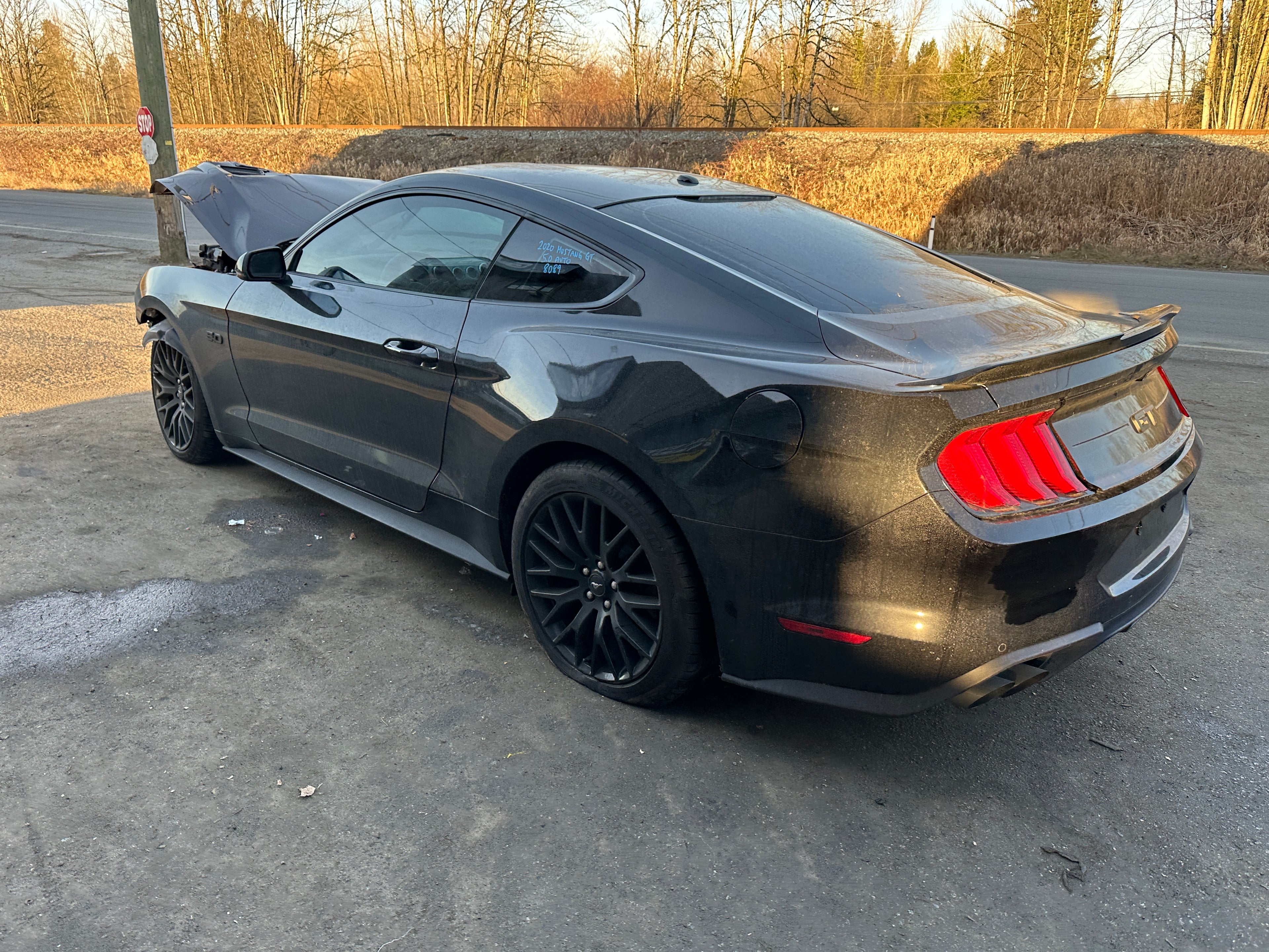 2020 Ford Mustang GT 5.0 – F2502