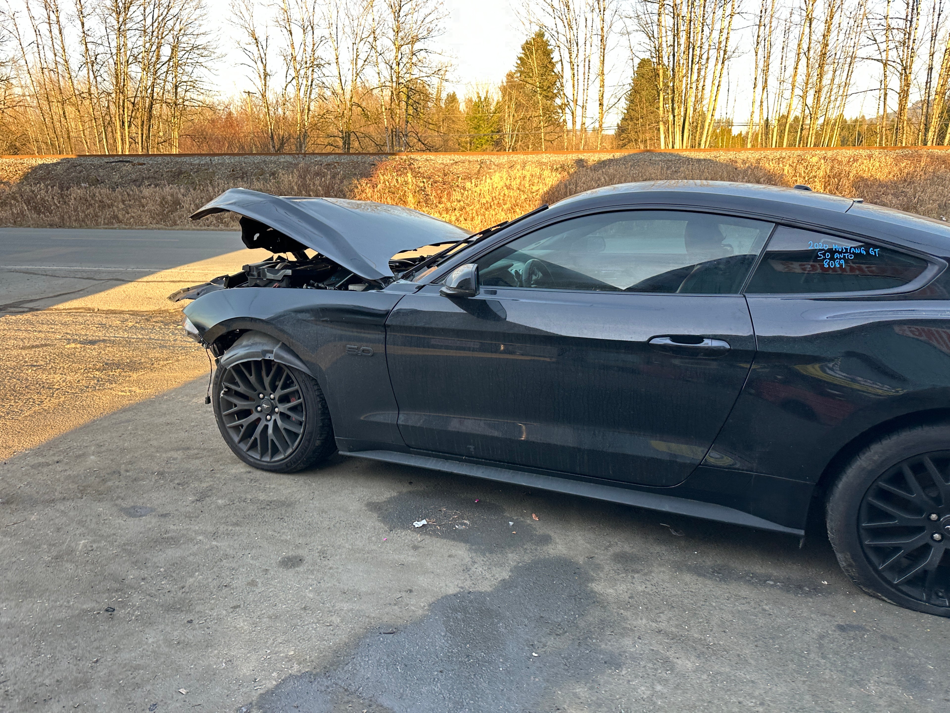 2020 Ford Mustang GT 5.0 – F2502