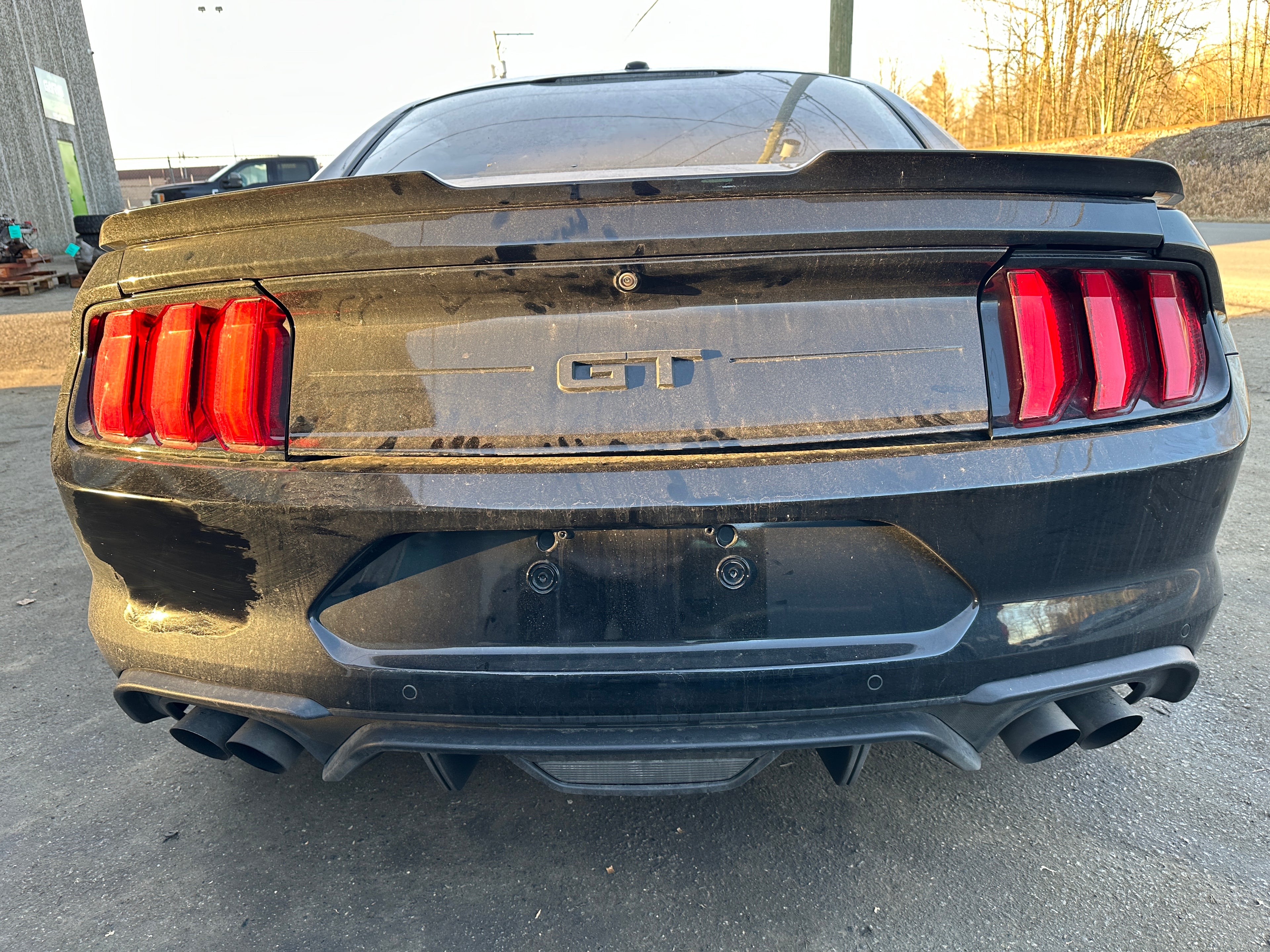 2020 Ford Mustang GT 5.0 – F2502