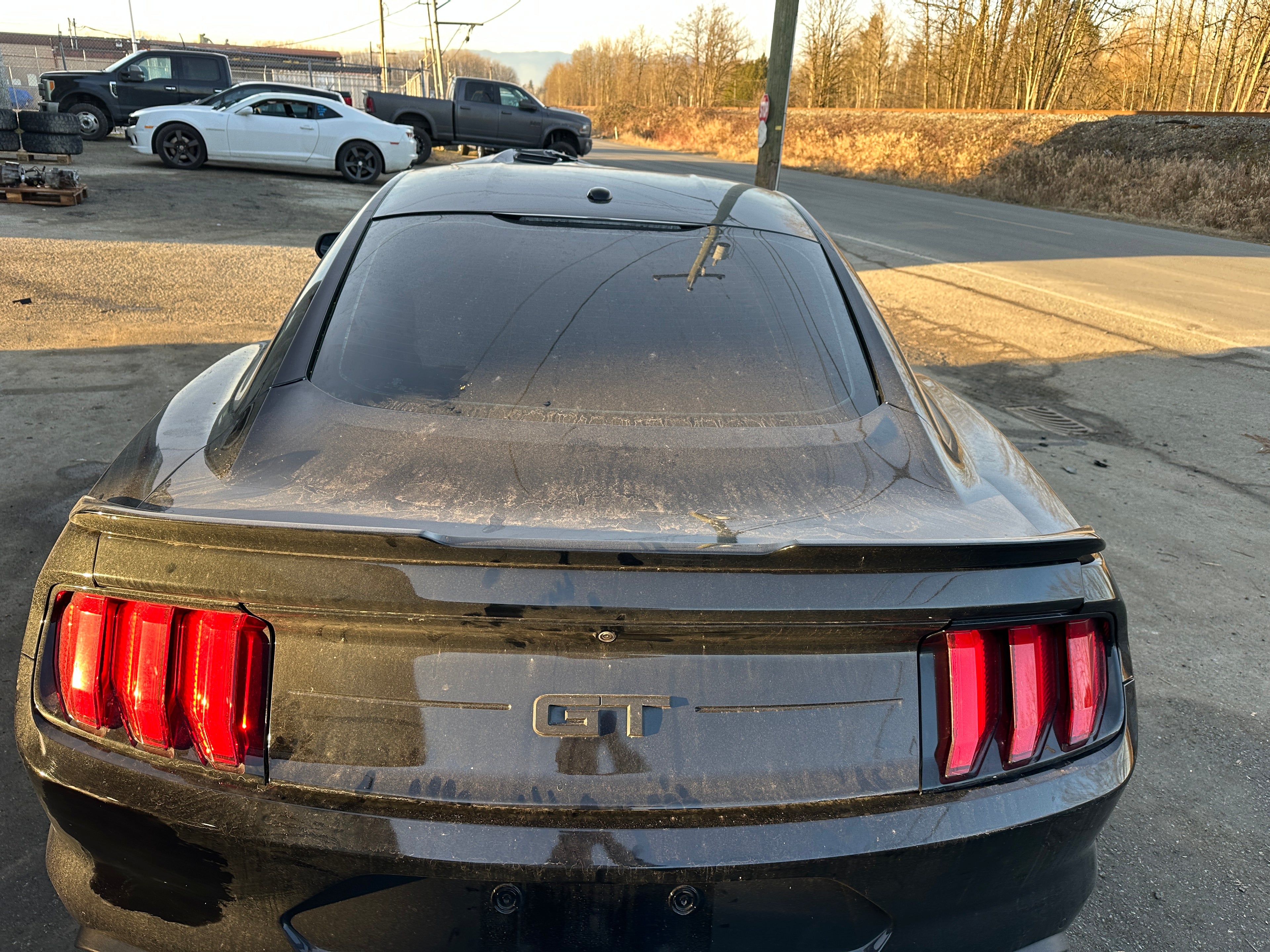 2020 Ford Mustang GT 5.0 – F2502