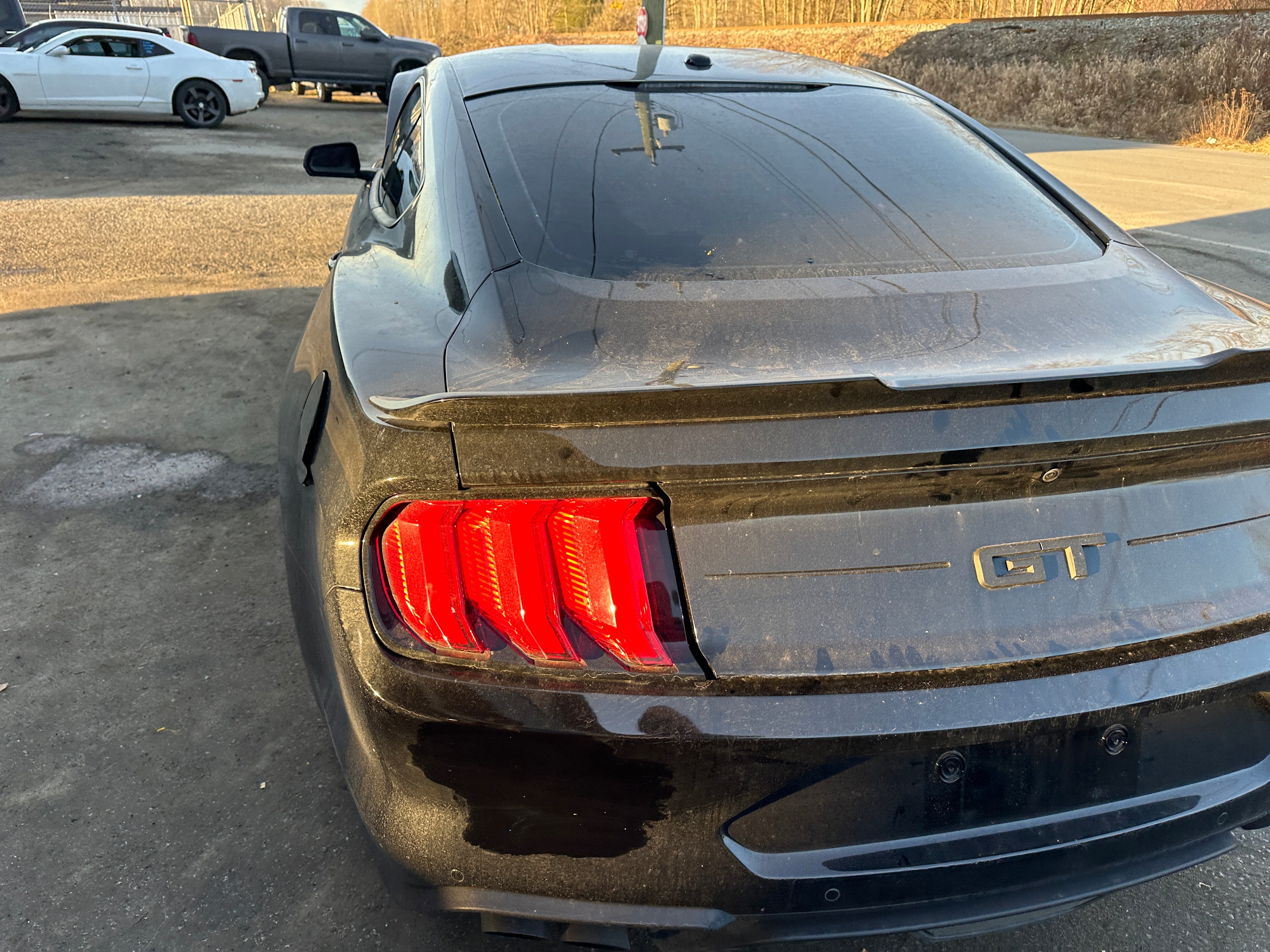 2020 Ford Mustang GT 5.0 – F2502