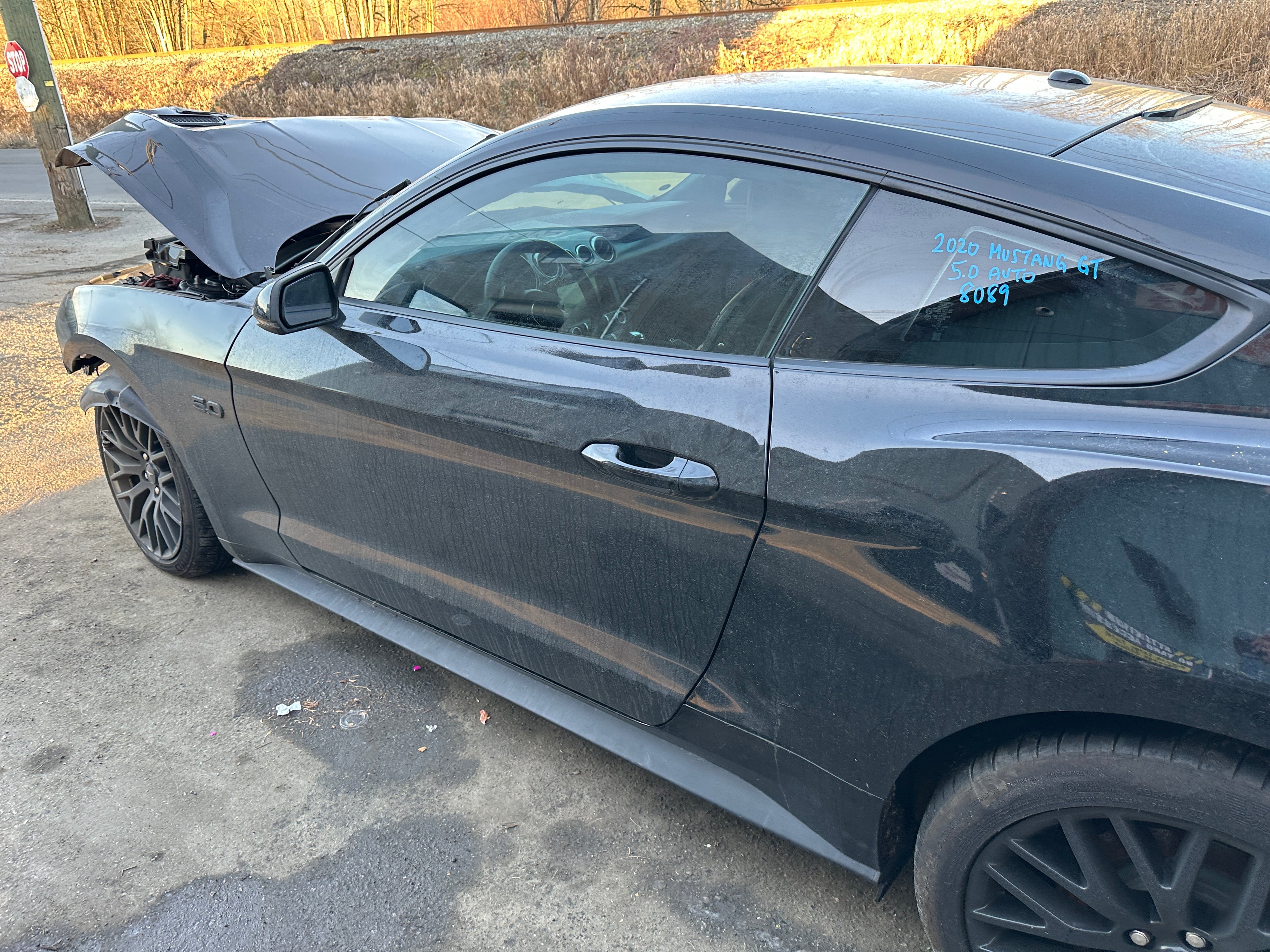 2020 Ford Mustang GT 5.0 – F2502