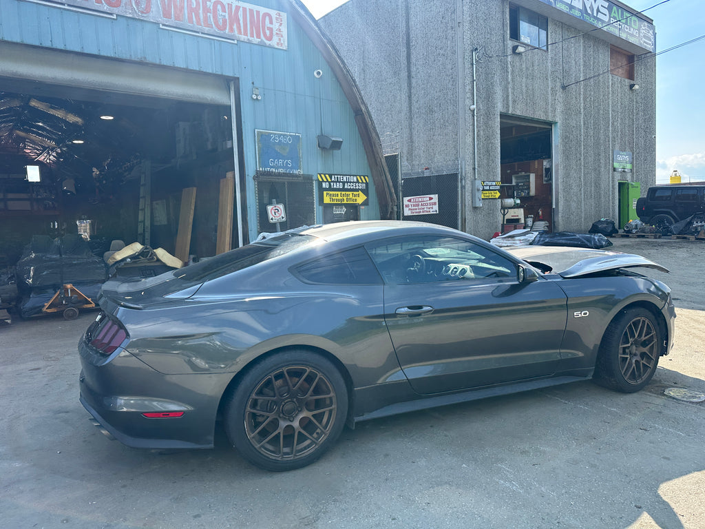 2019 Ford Mustang GT 5.0 6-Speed – F2506