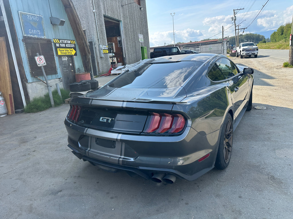 2019 Ford Mustang GT 5.0 6-Speed – F2506