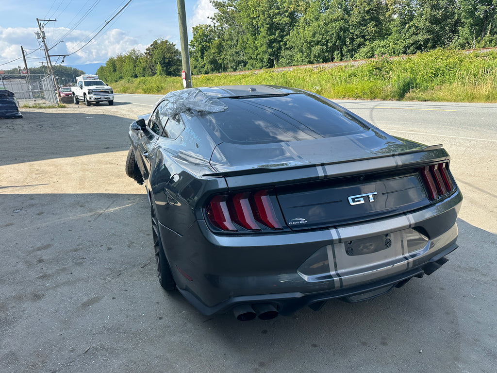 2019 Ford Mustang GT 5.0 6-Speed – F2506