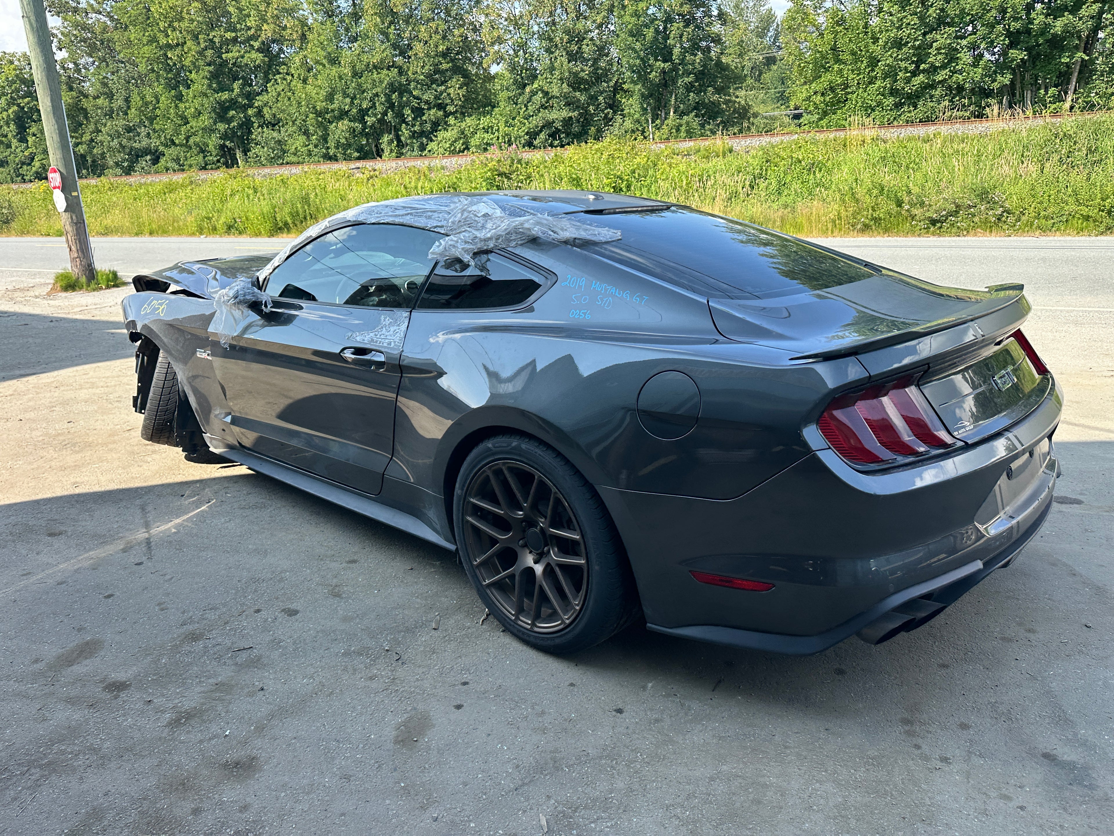 2019 Ford Mustang GT 5.0 6-Speed – F2506