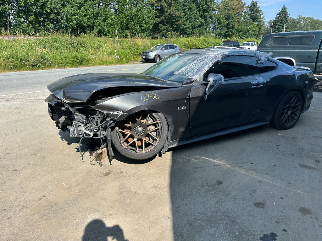 2019 Ford Mustang GT 5.0 6-Speed – F2506