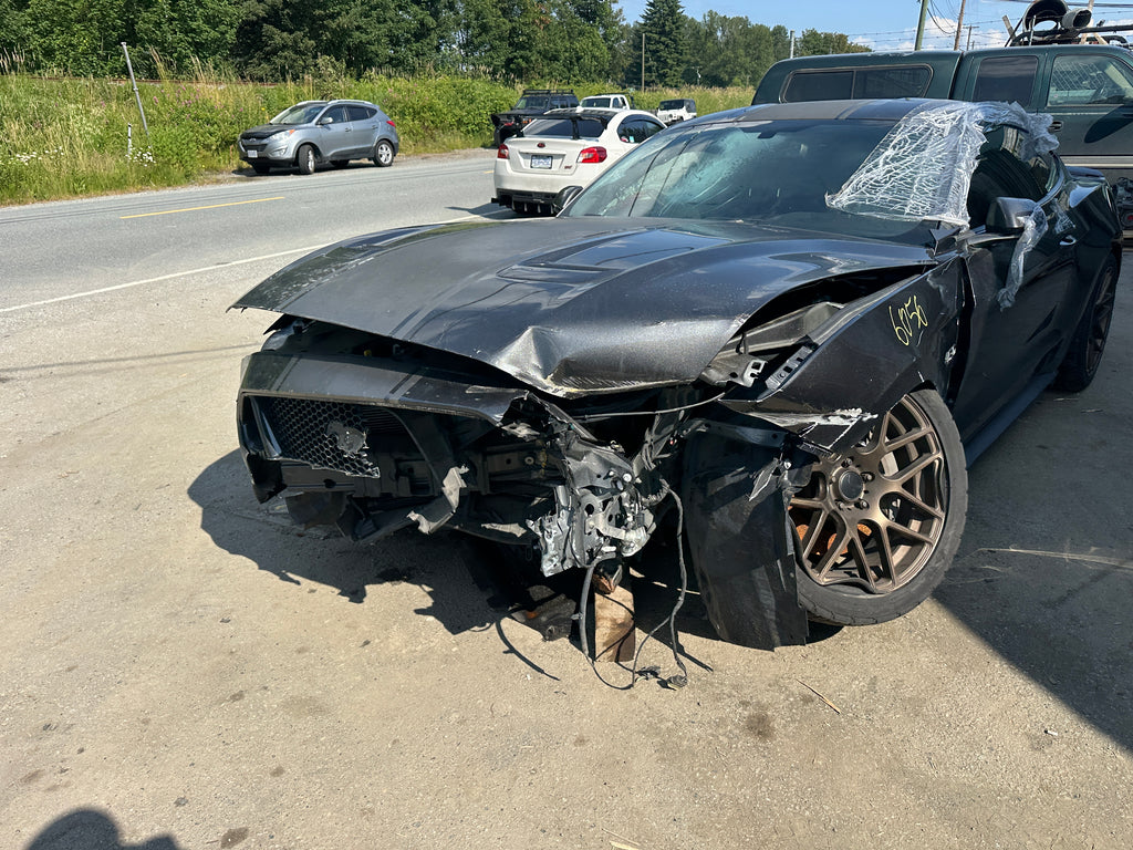 2019 Ford Mustang GT 5.0 6-Speed – F2506