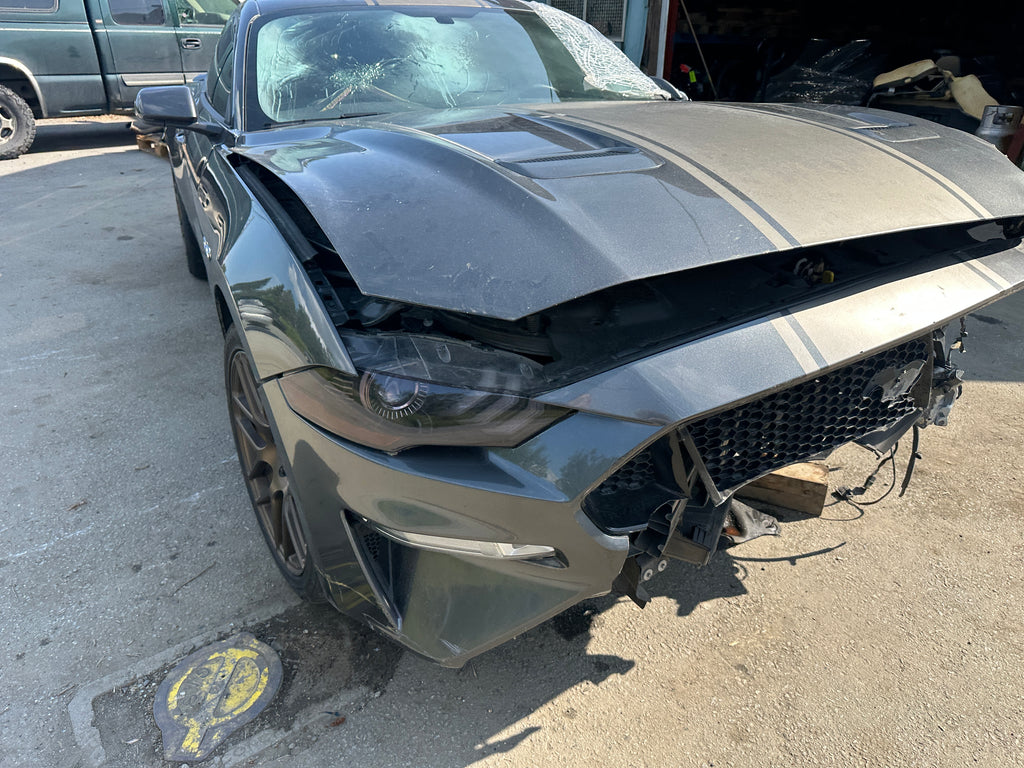 2019 Ford Mustang GT 5.0 6-Speed – F2506