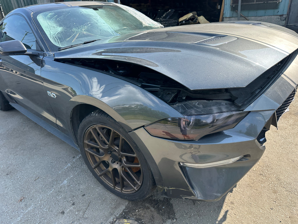 2019 Ford Mustang GT 5.0 6-Speed – F2506
