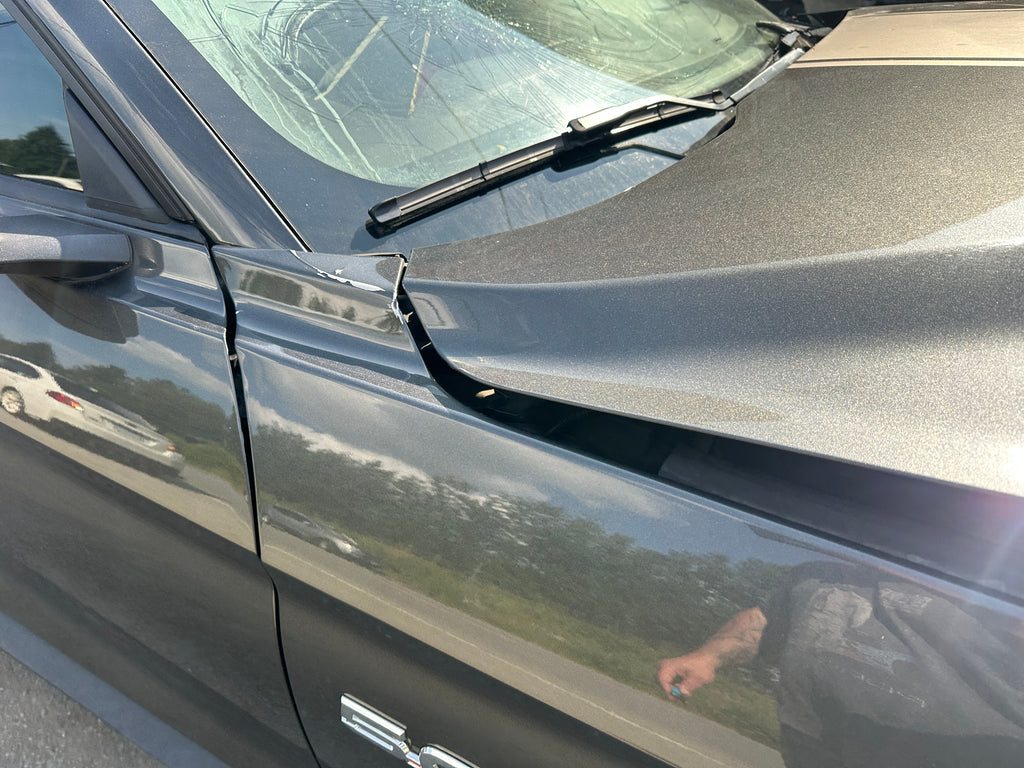 2019 Ford Mustang GT 5.0 6-Speed – F2506