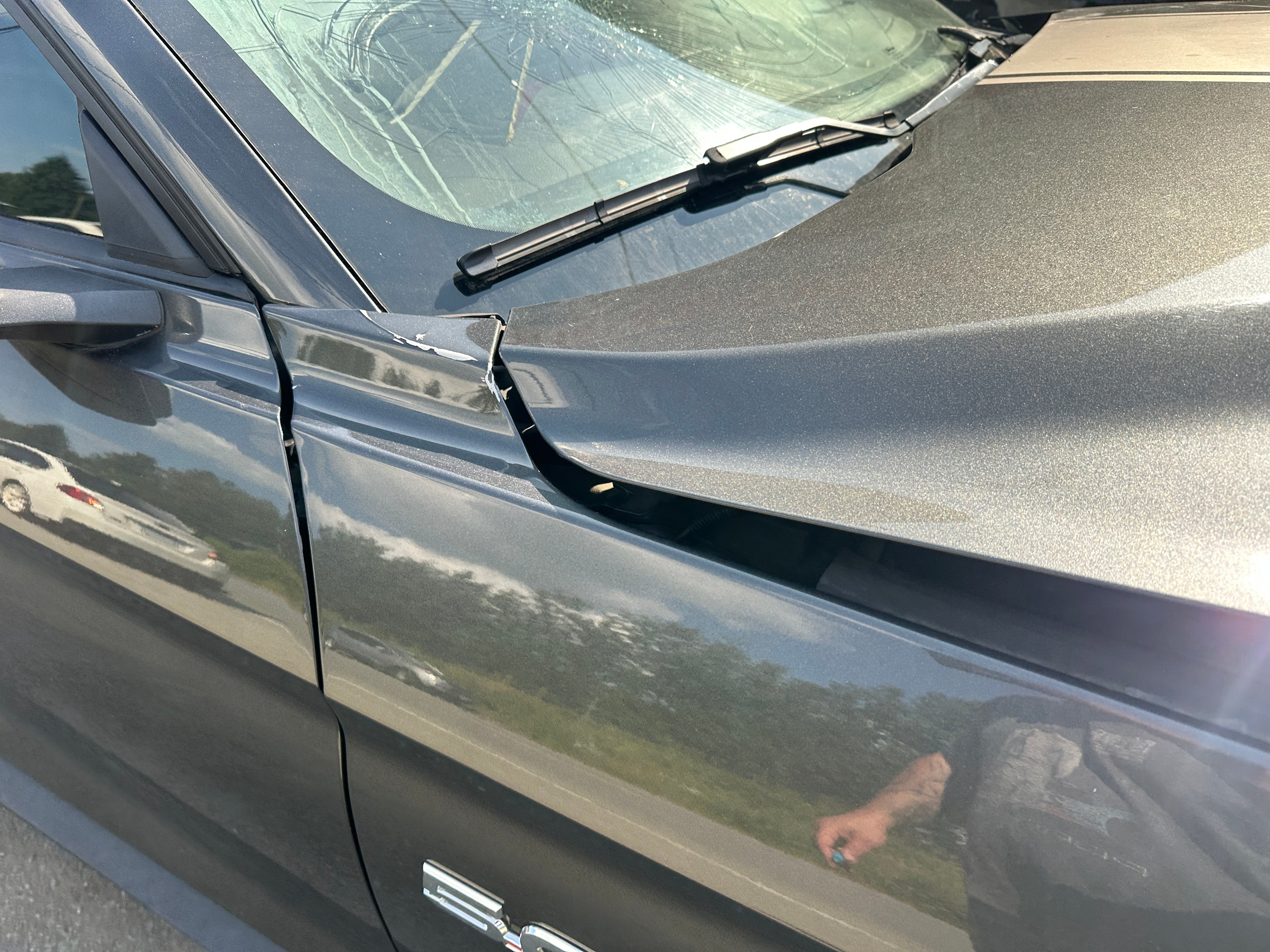 2019 Ford Mustang GT 5.0 6-Speed – F2506