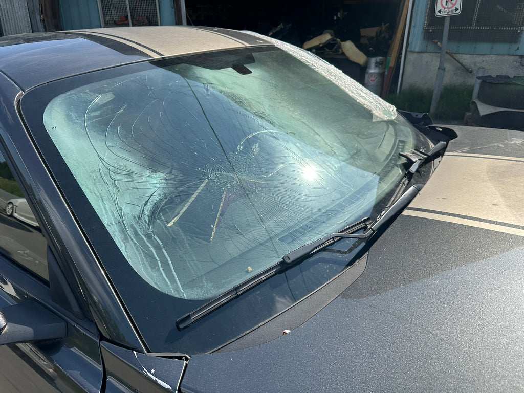 2019 Ford Mustang GT 5.0 6-Speed – F2506