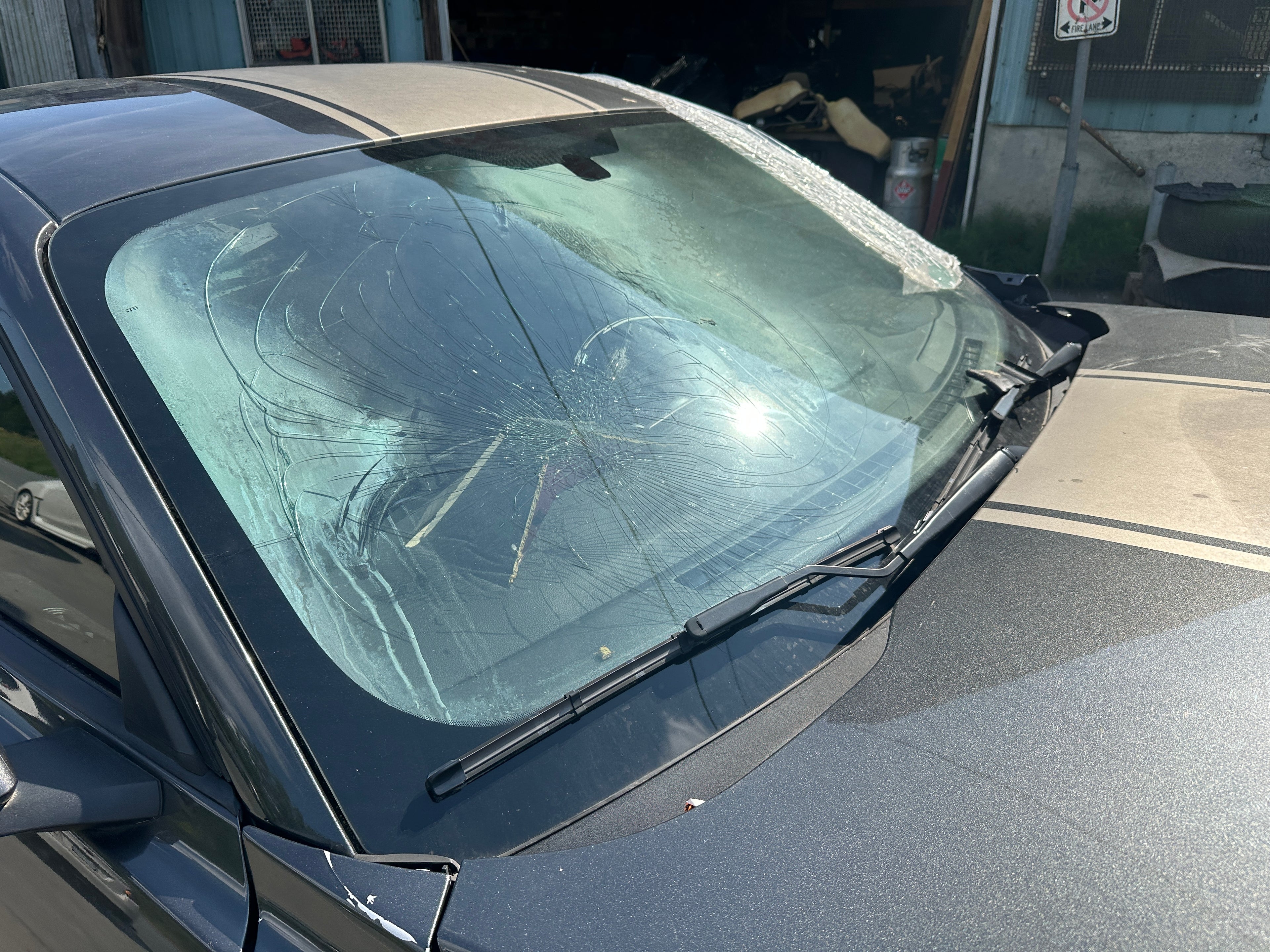 2019 Ford Mustang GT 5.0 6-Speed – F2506