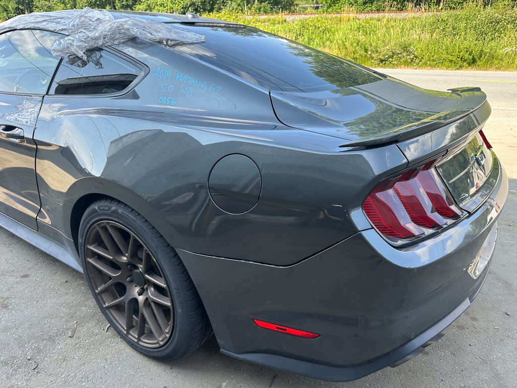 2019 Ford Mustang GT 5.0 6-Speed – F2506