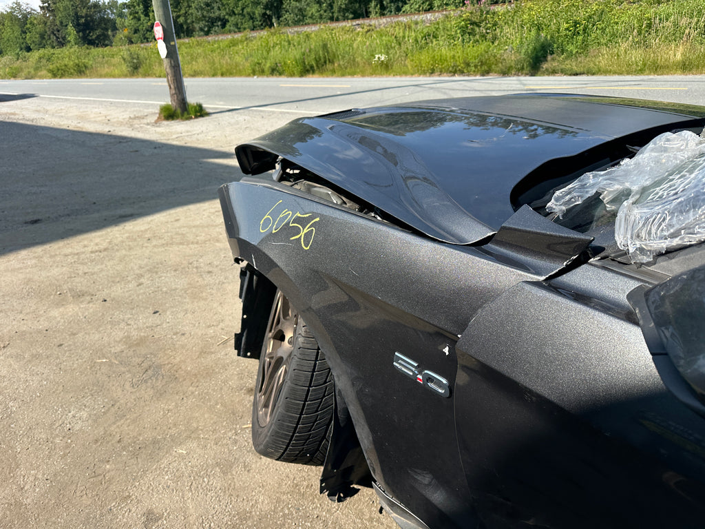 2019 Ford Mustang GT 5.0 6-Speed – F2506