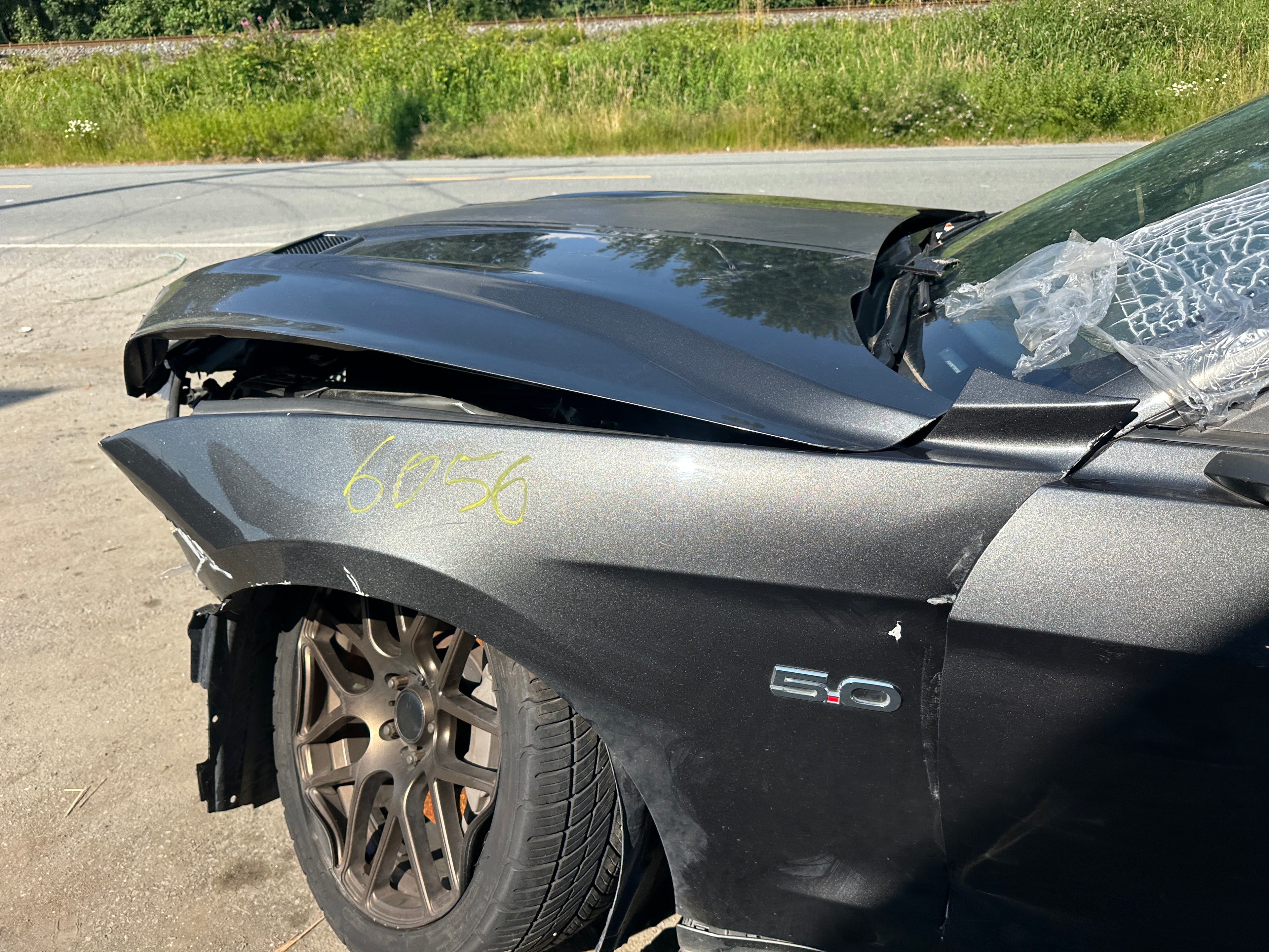 2019 Ford Mustang GT 5.0 6-Speed – F2506