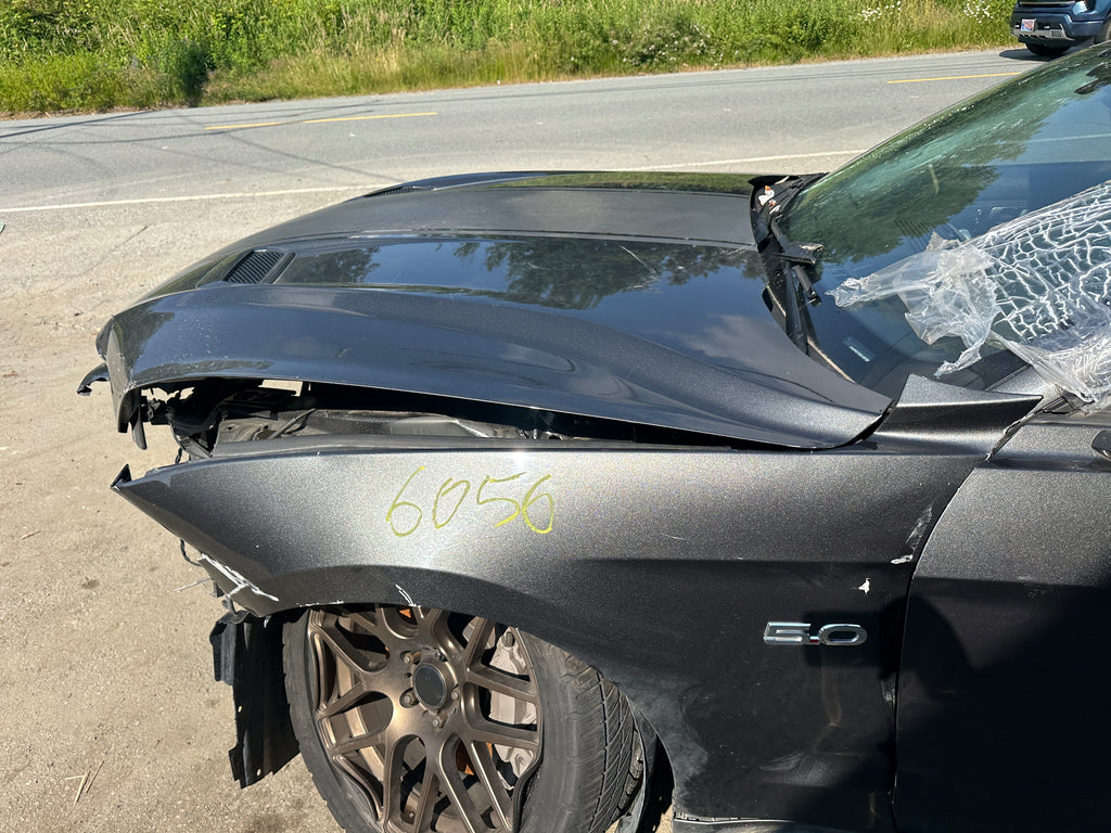 2019 Ford Mustang GT 5.0 6-Speed – F2506