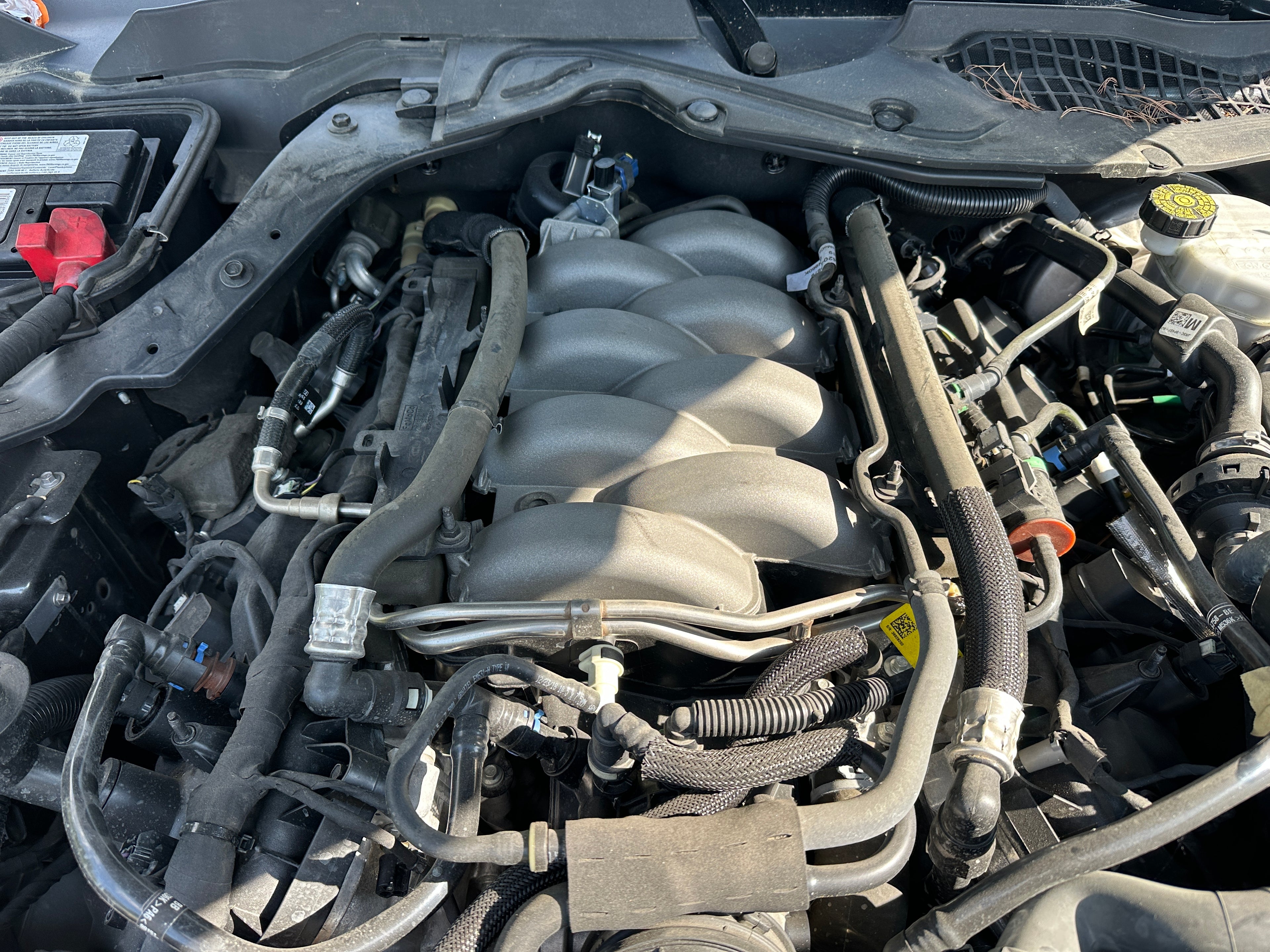 2019 Ford Mustang GT 5.0 6-Speed – F2506