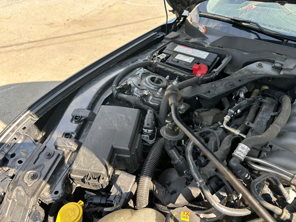 2019 Ford Mustang GT 5.0 6-Speed – F2506