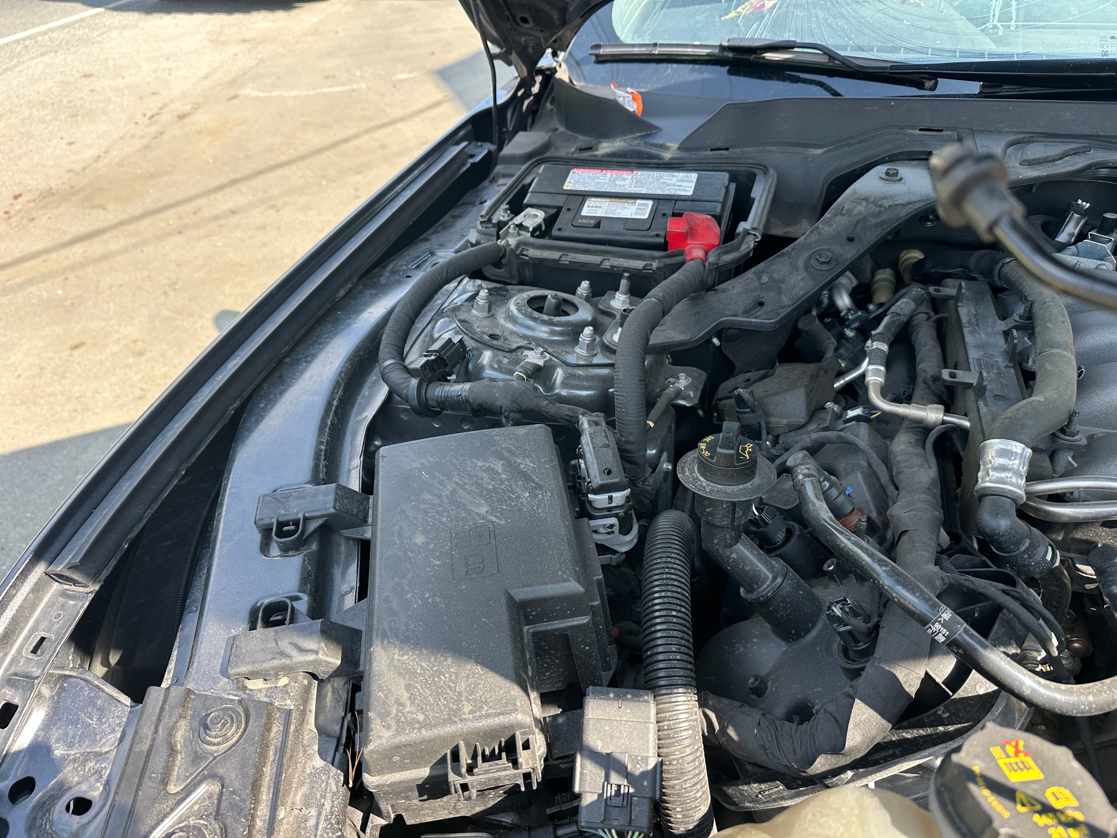 2019 Ford Mustang GT 5.0 6-Speed – F2506