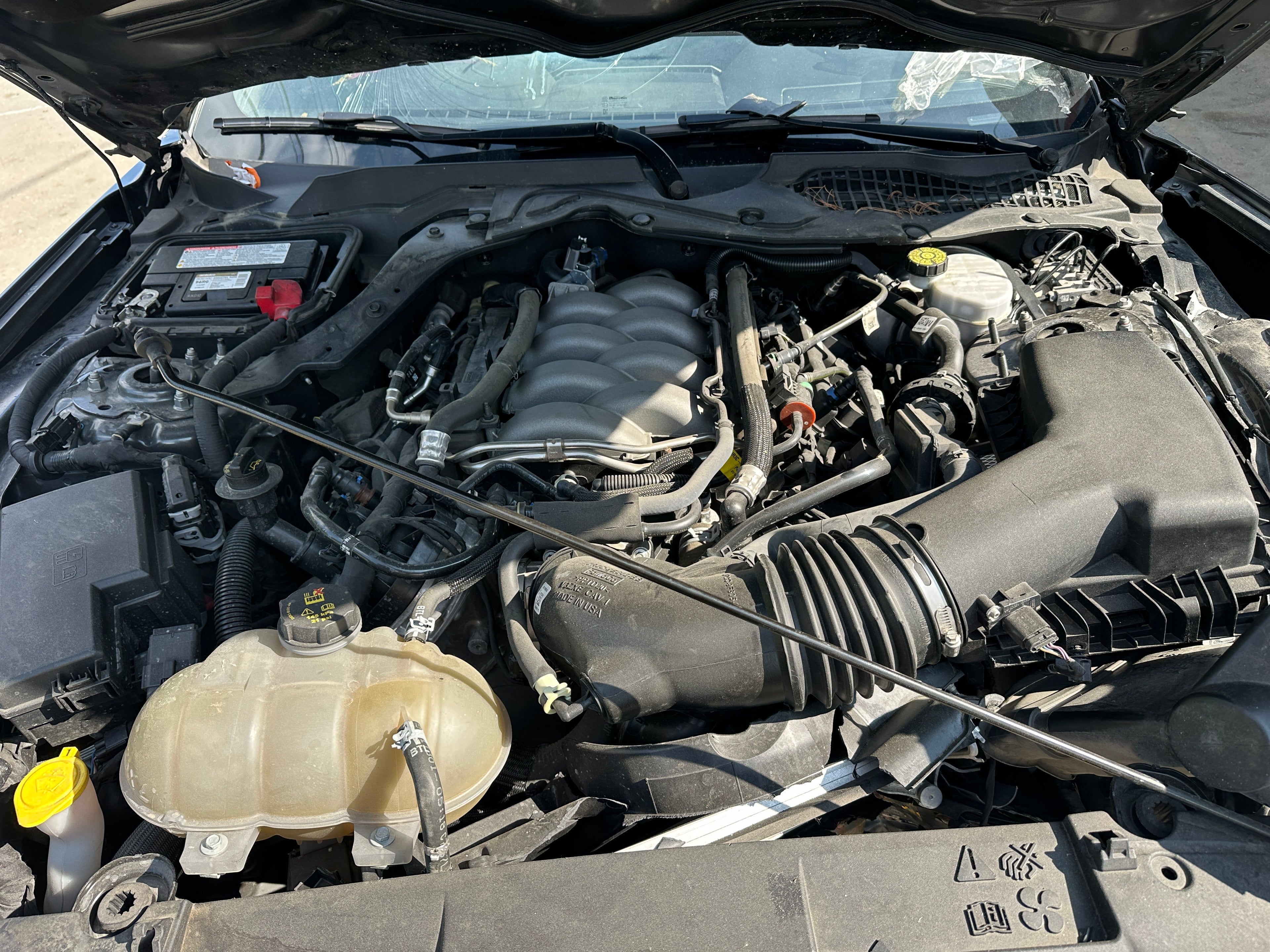 2019 Ford Mustang GT 5.0 6-Speed – F2506