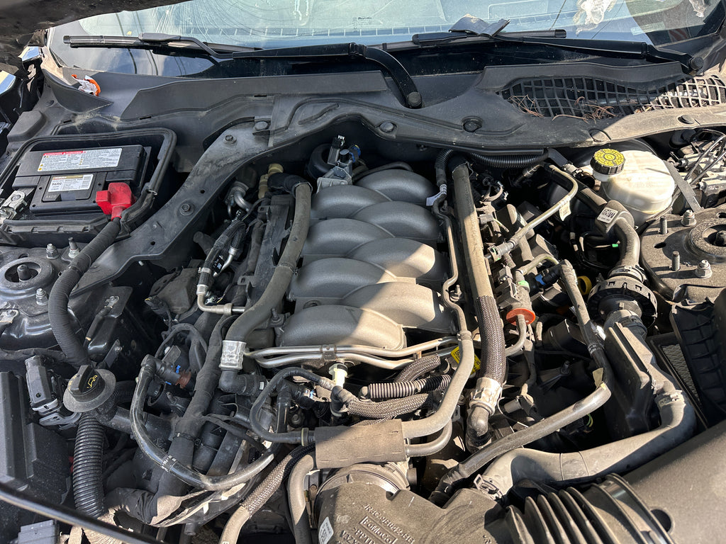 2019 Ford Mustang GT 5.0 6-Speed – F2506