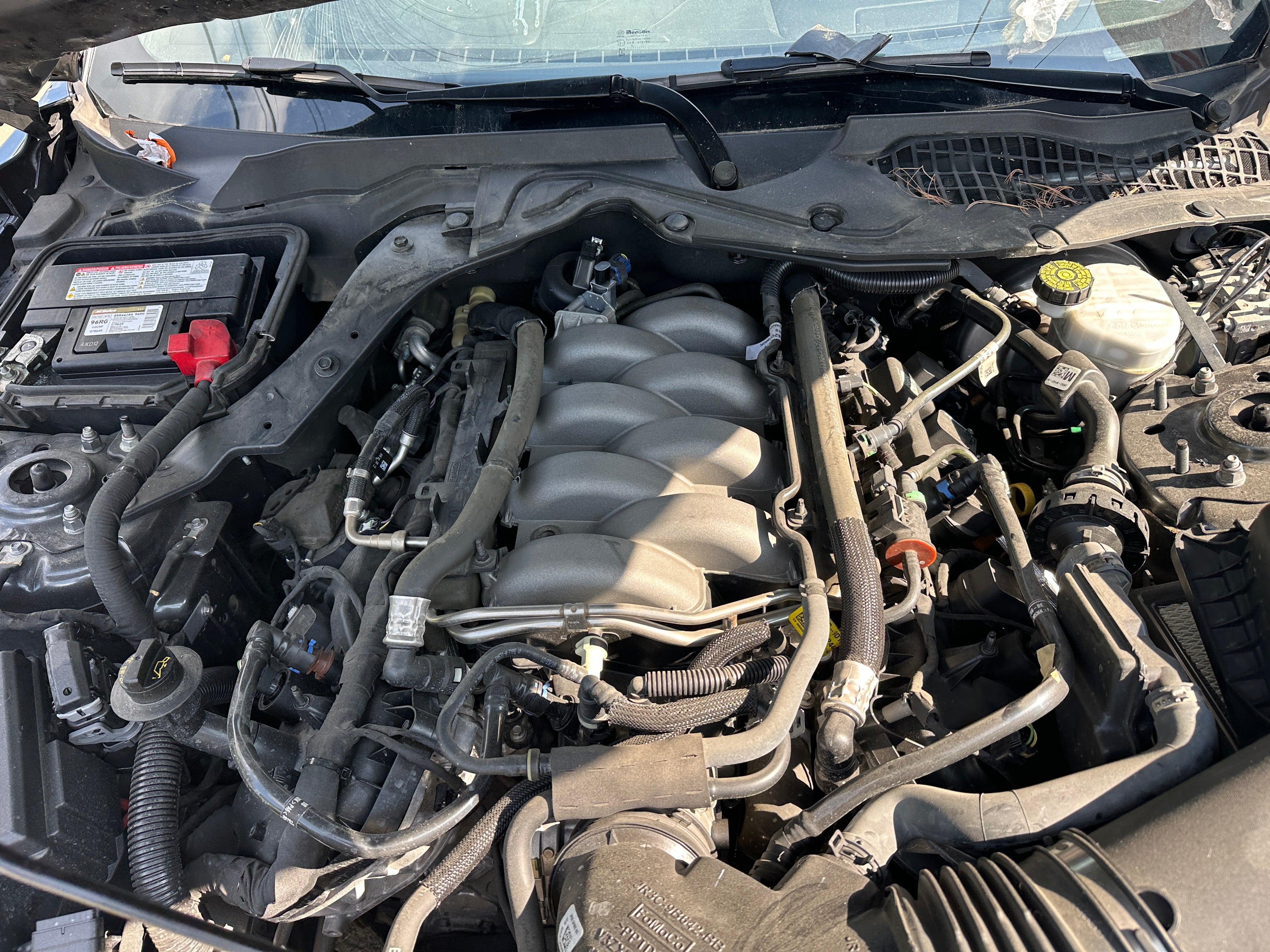 2019 Ford Mustang GT 5.0 6-Speed – F2506