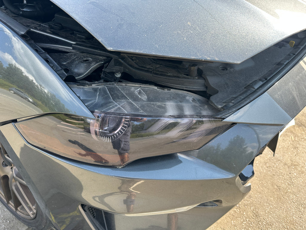 2019 Ford Mustang GT 5.0 6-Speed – F2506