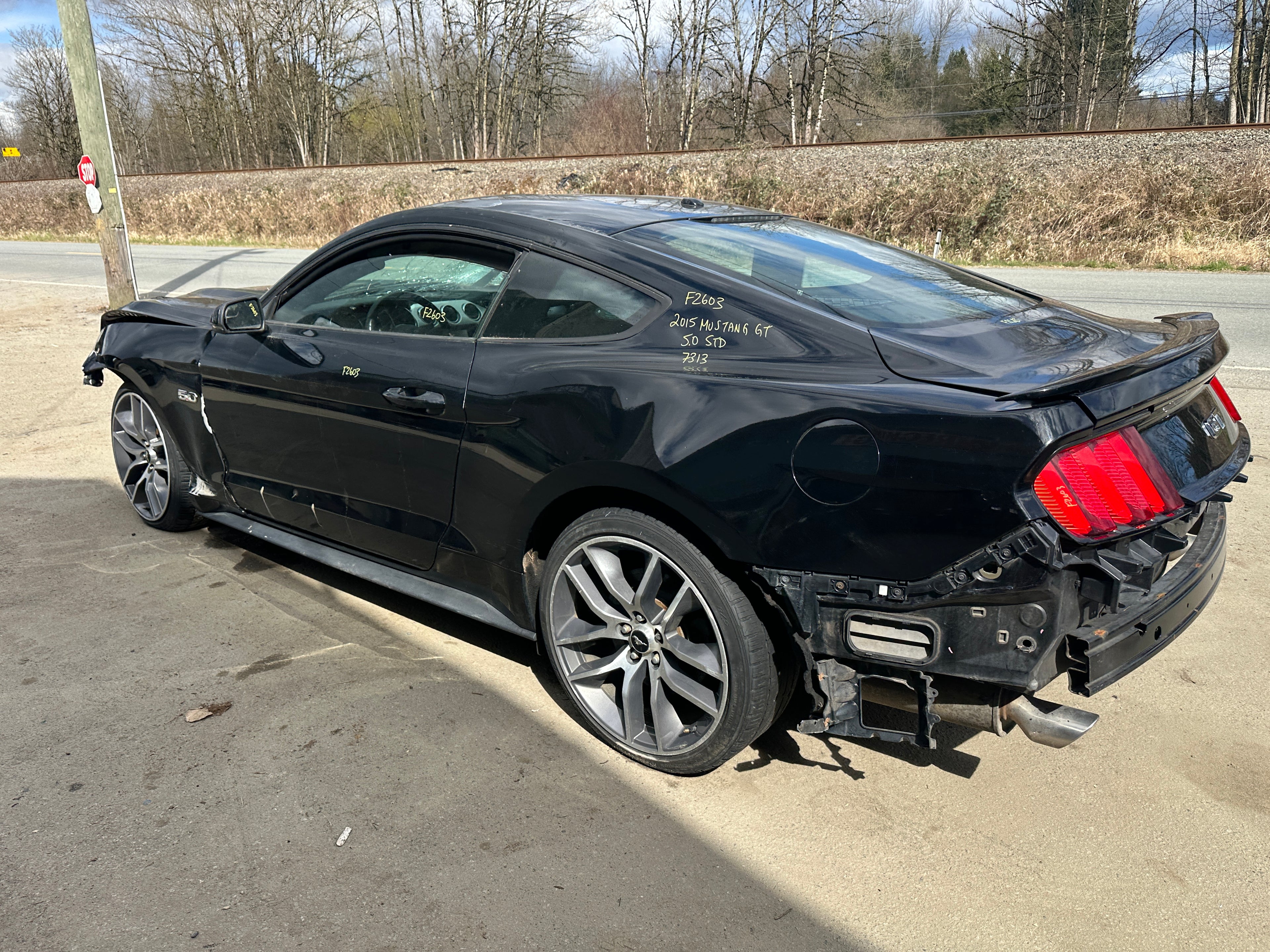 2015 Ford Mustang GT 5.0 – F2603