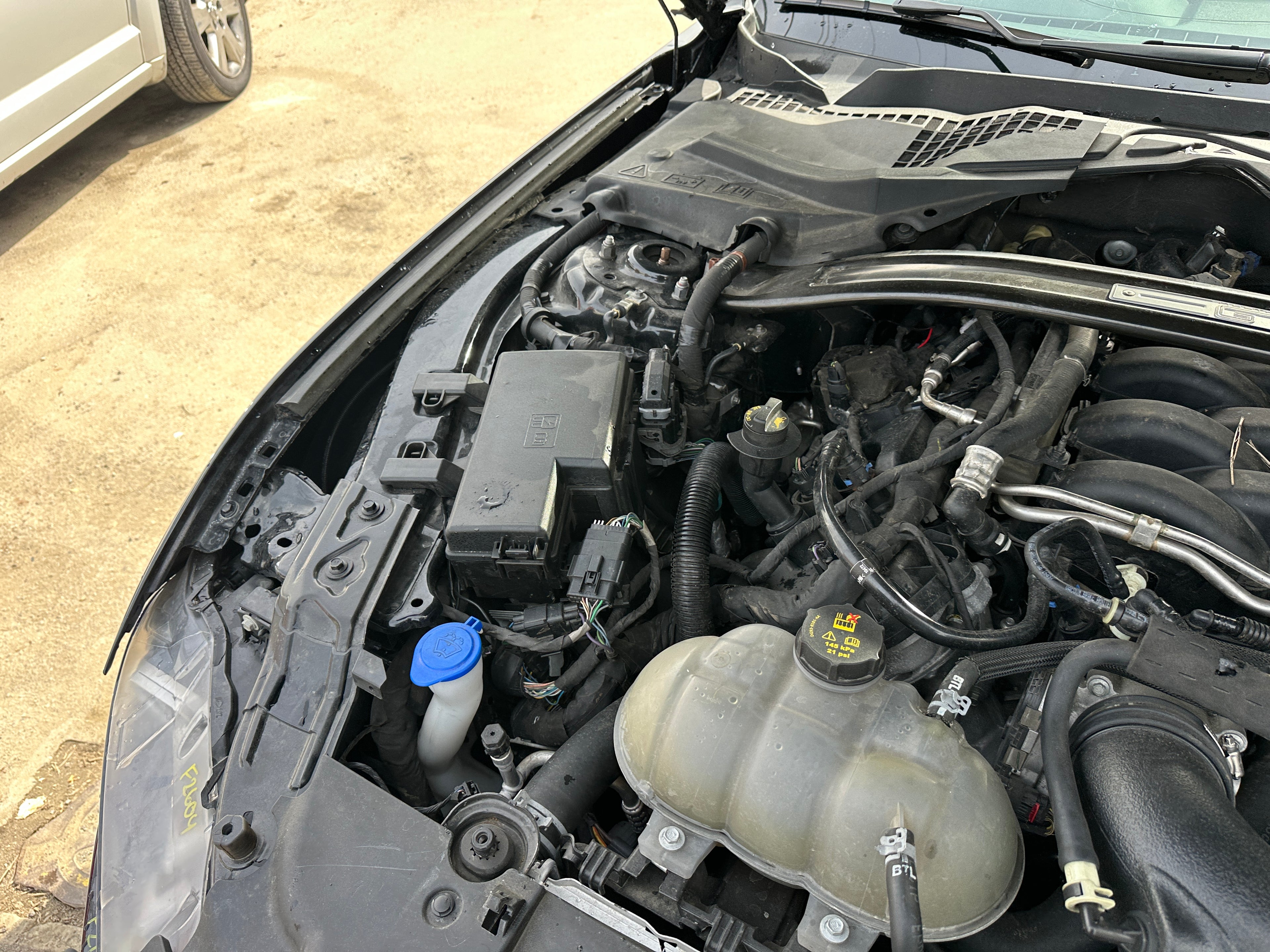 2021 Ford Mustang GT 5.0 – F2604