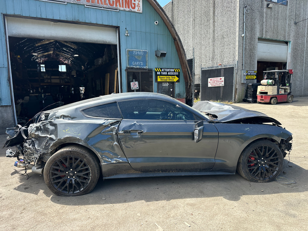 2019 Ford Mustang GT 5.0 – F2508