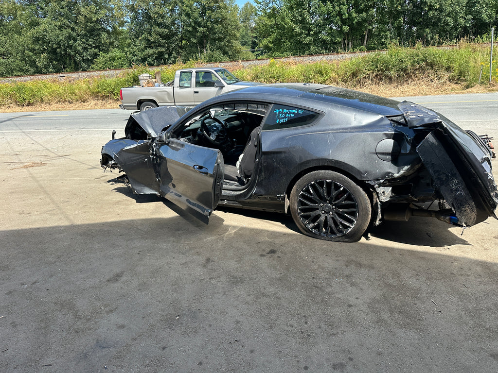 2019 Ford Mustang GT 5.0 – F2508