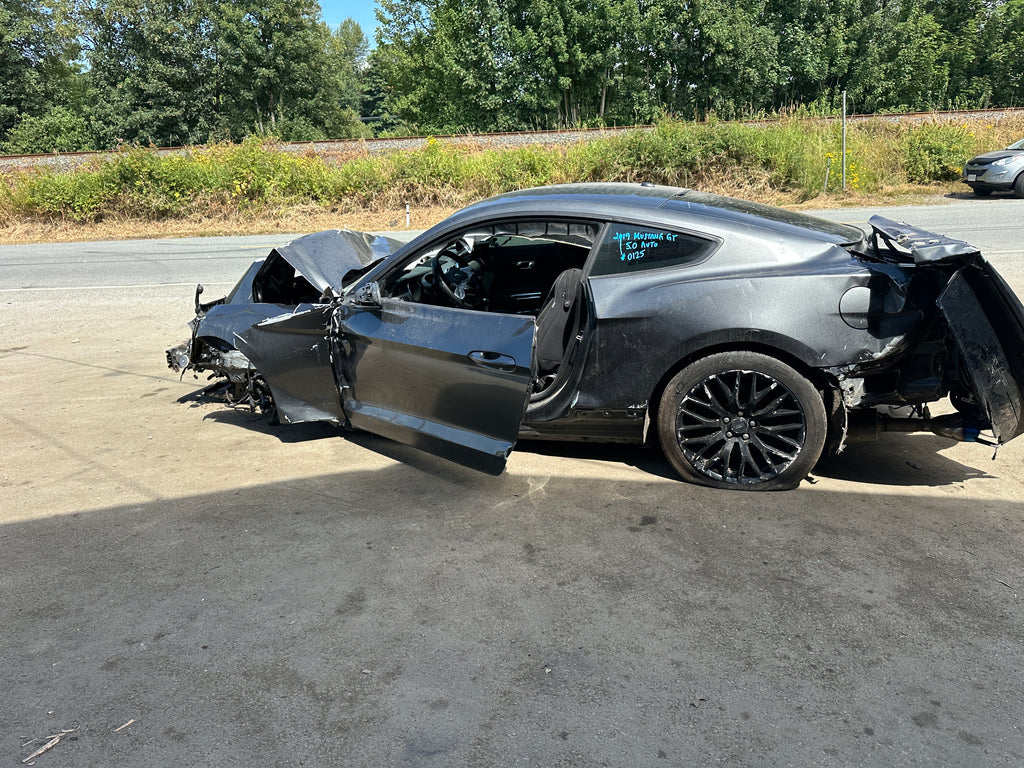 2019 Ford Mustang GT 5.0 – F2508