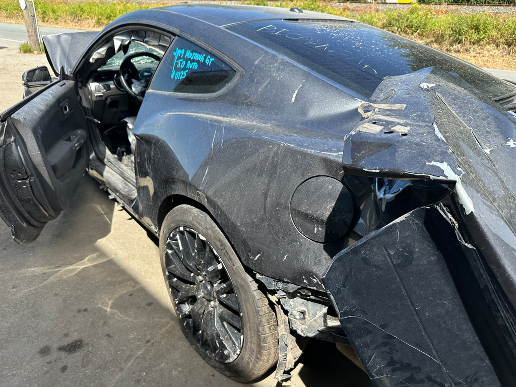 2019 Ford Mustang GT 5.0 – F2508