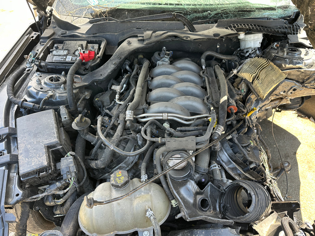 2019 Ford Mustang GT 5.0 – F2508