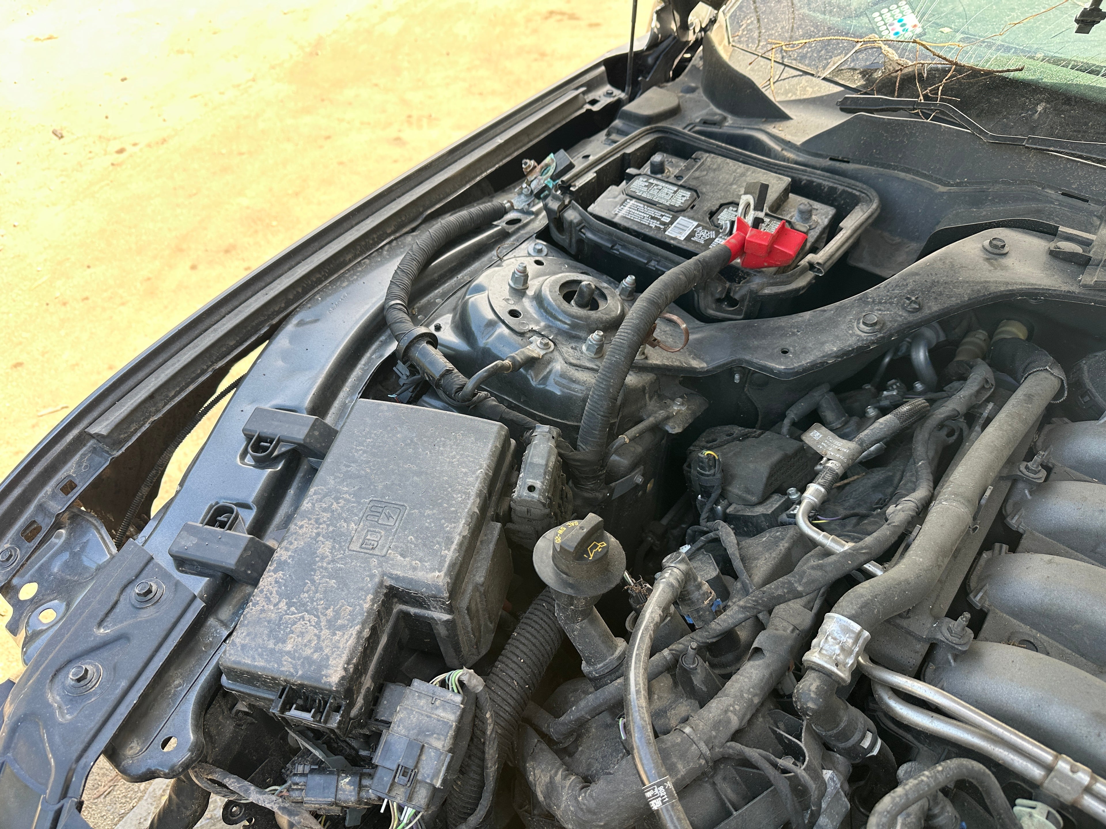 2019 Ford Mustang GT 5.0 – F2508