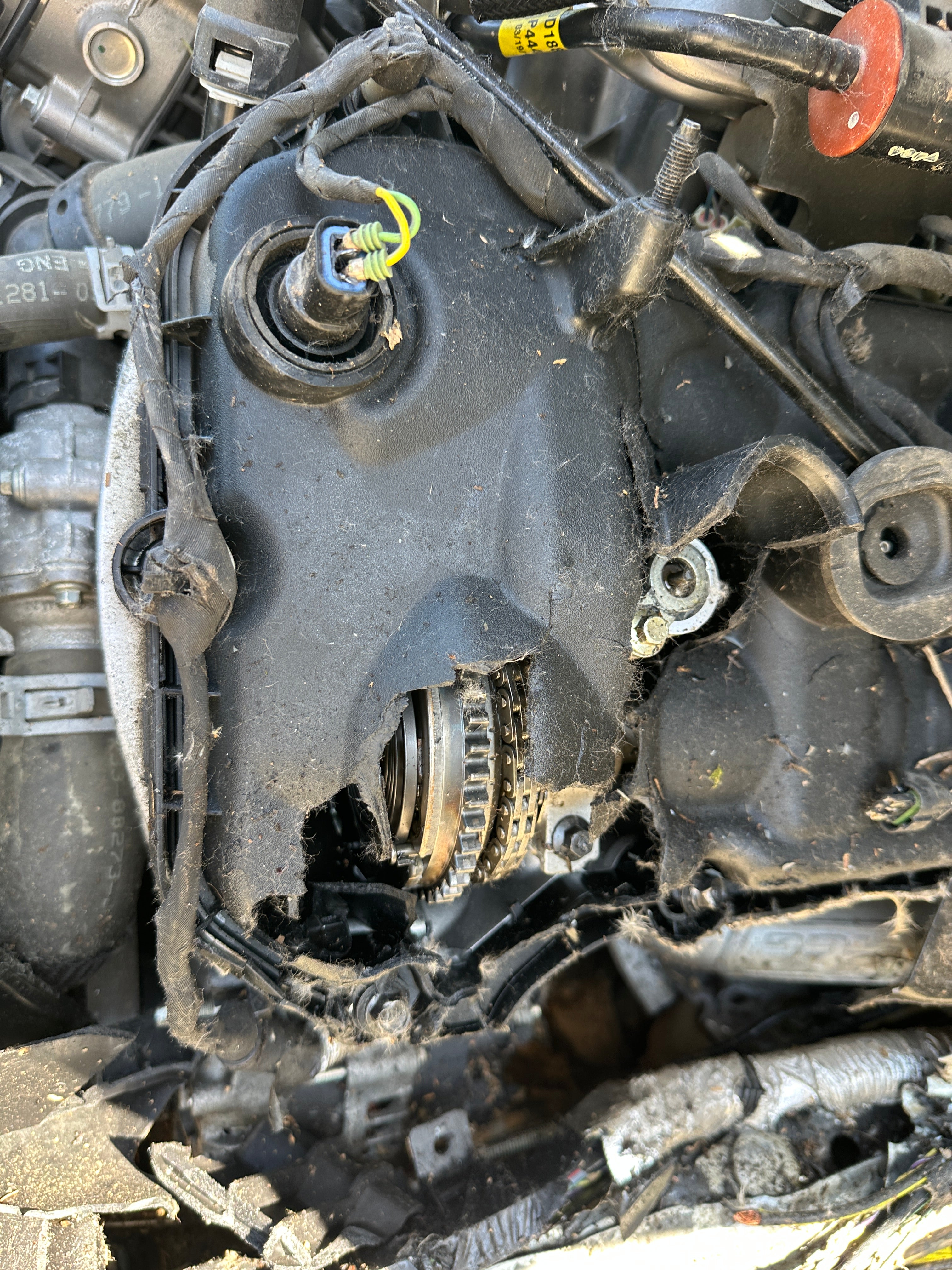 2019 Ford Mustang GT 5.0 – F2508