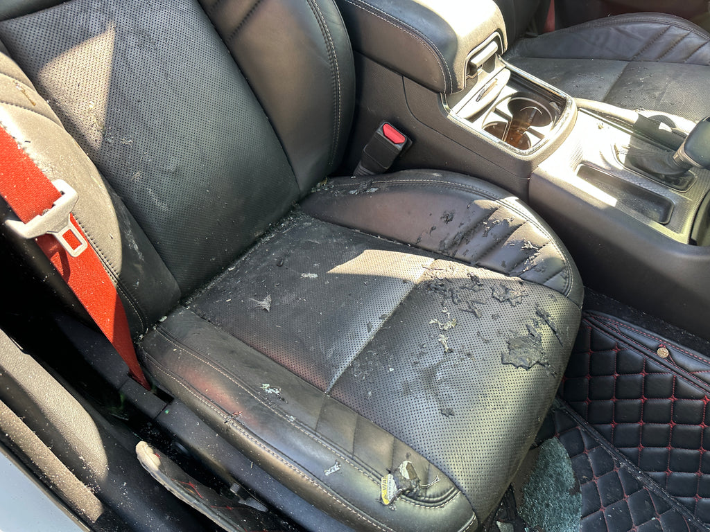 2019 Dodge Charger SRT Hellcat – D2503