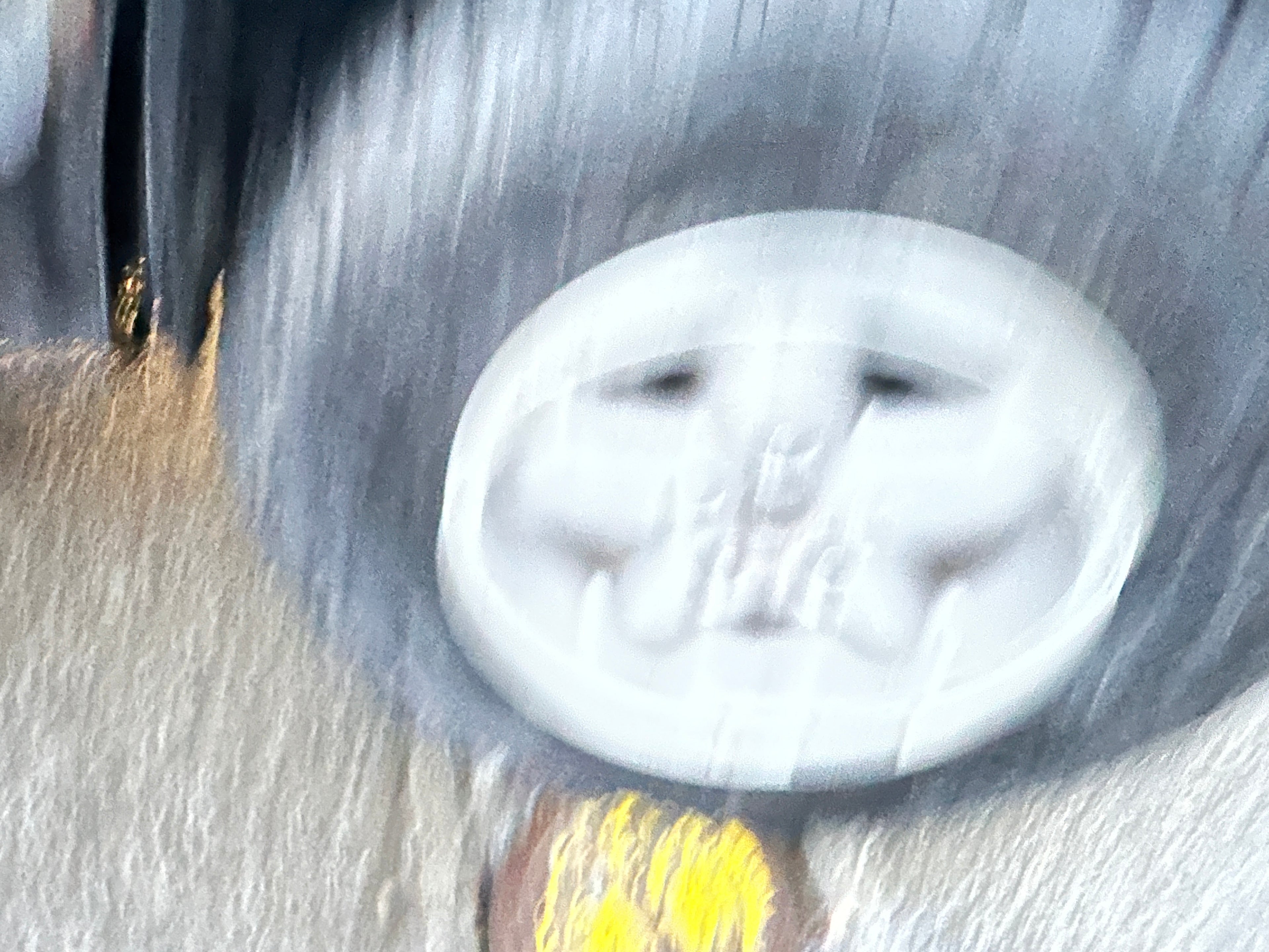 1998 Jeep Cherokee XJ Sport 4.0 – J2561