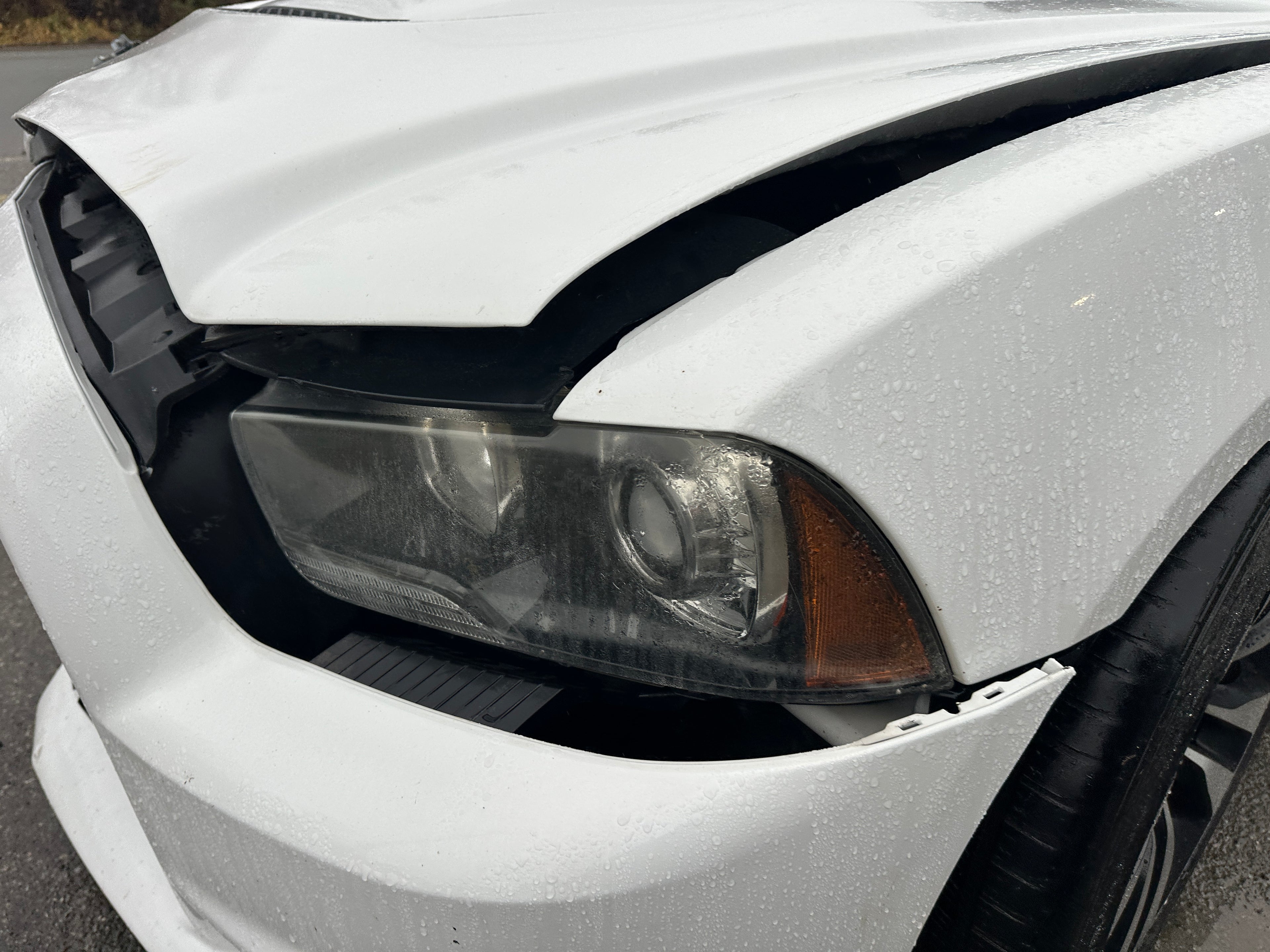 2014 Dodge Charger SRT-8 6.4 – D2509