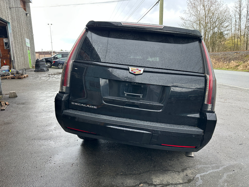 2019 Cadillac Escalade 6.2 – CA2501