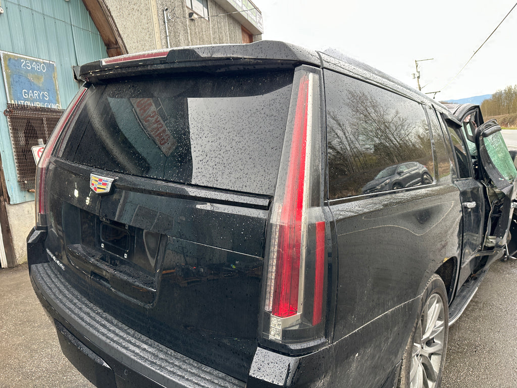 2019 Cadillac Escalade 6.2 – CA2501